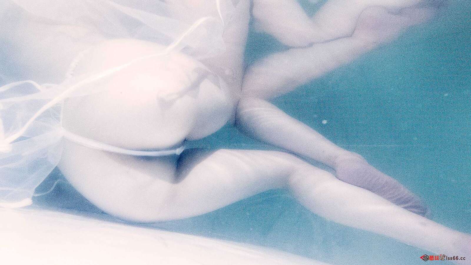 https://www.lss77.com/wp-content/uploads/2021/02/a-1-190-1600x900.jpg