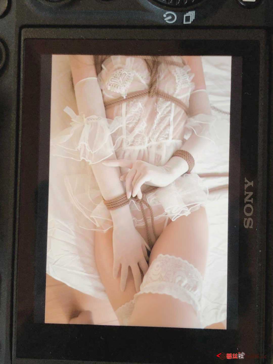 https://www.lss77.com/wp-content/uploads/2021/02/a-104.jpg