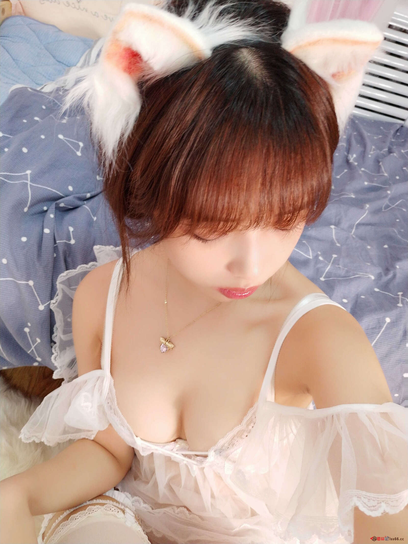 https://www.lss77.com/wp-content/uploads/2021/02/a-11-132-1600x2134.jpg
