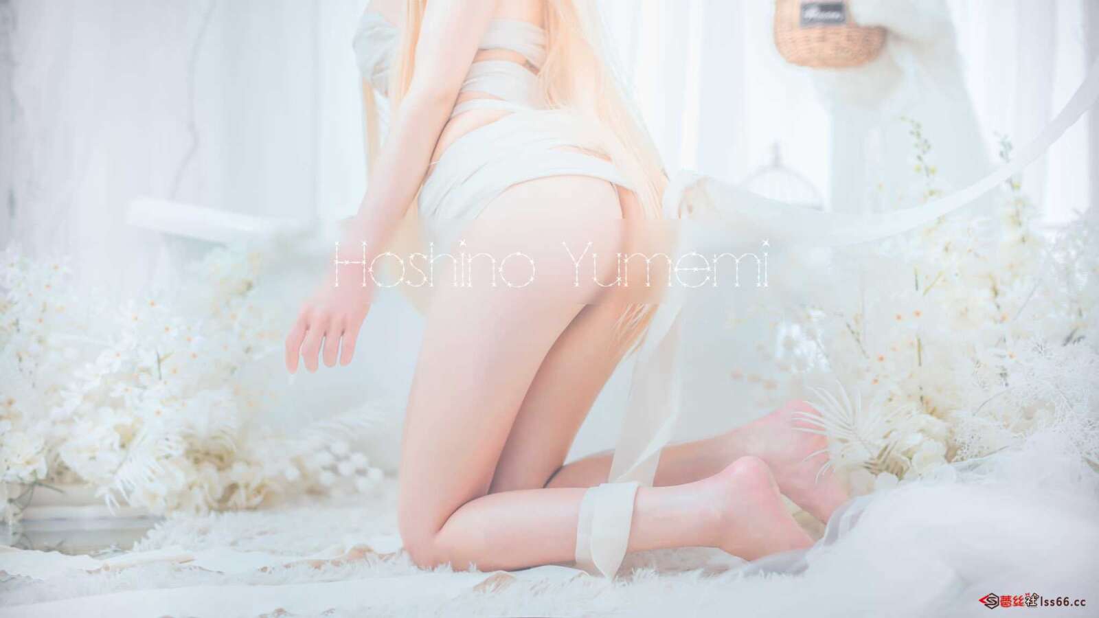 https://www.lss77.com/wp-content/uploads/2021/02/a-114-1600x900.jpg