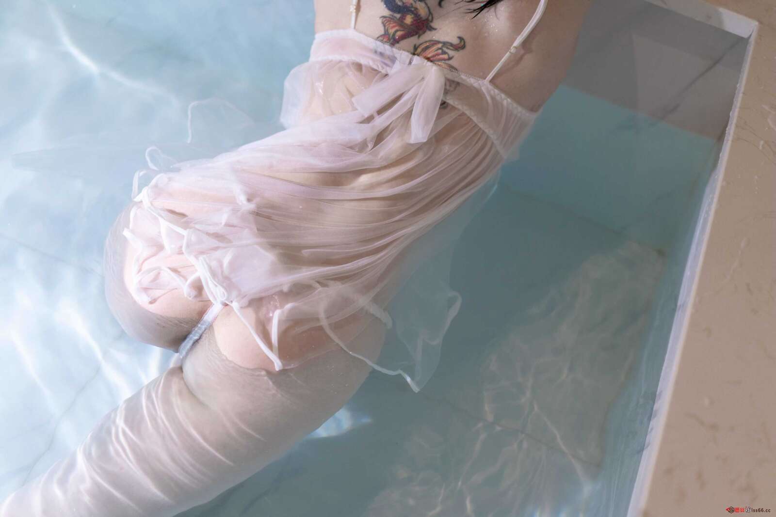 https://www.lss77.com/wp-content/uploads/2021/02/a-14-133-1600x1067.jpg