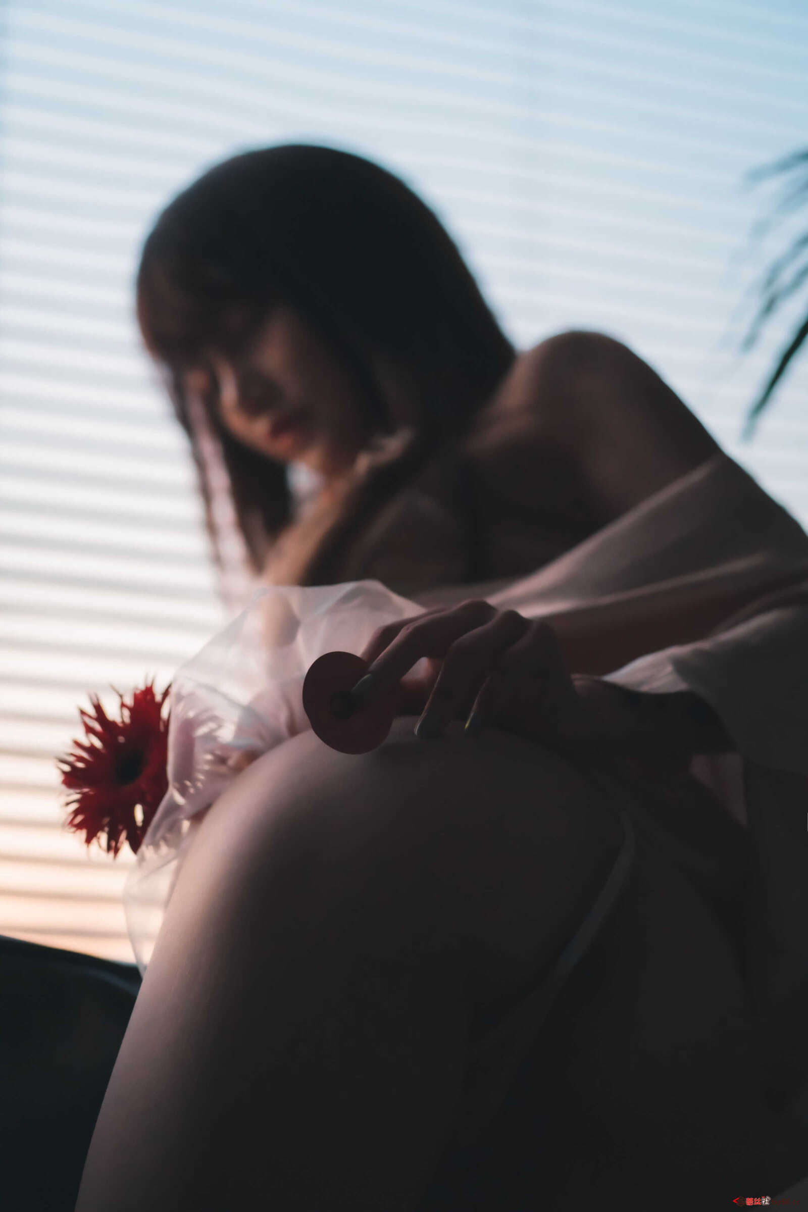 https://www.lss77.com/wp-content/uploads/2021/02/a-18-21-1600x2400.jpg