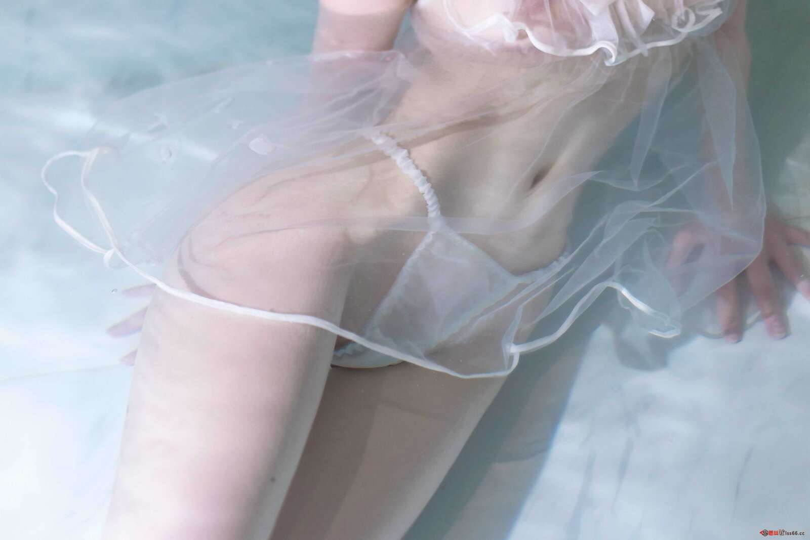 https://www.lss77.com/wp-content/uploads/2021/02/a-19-106-1600x1067.jpg