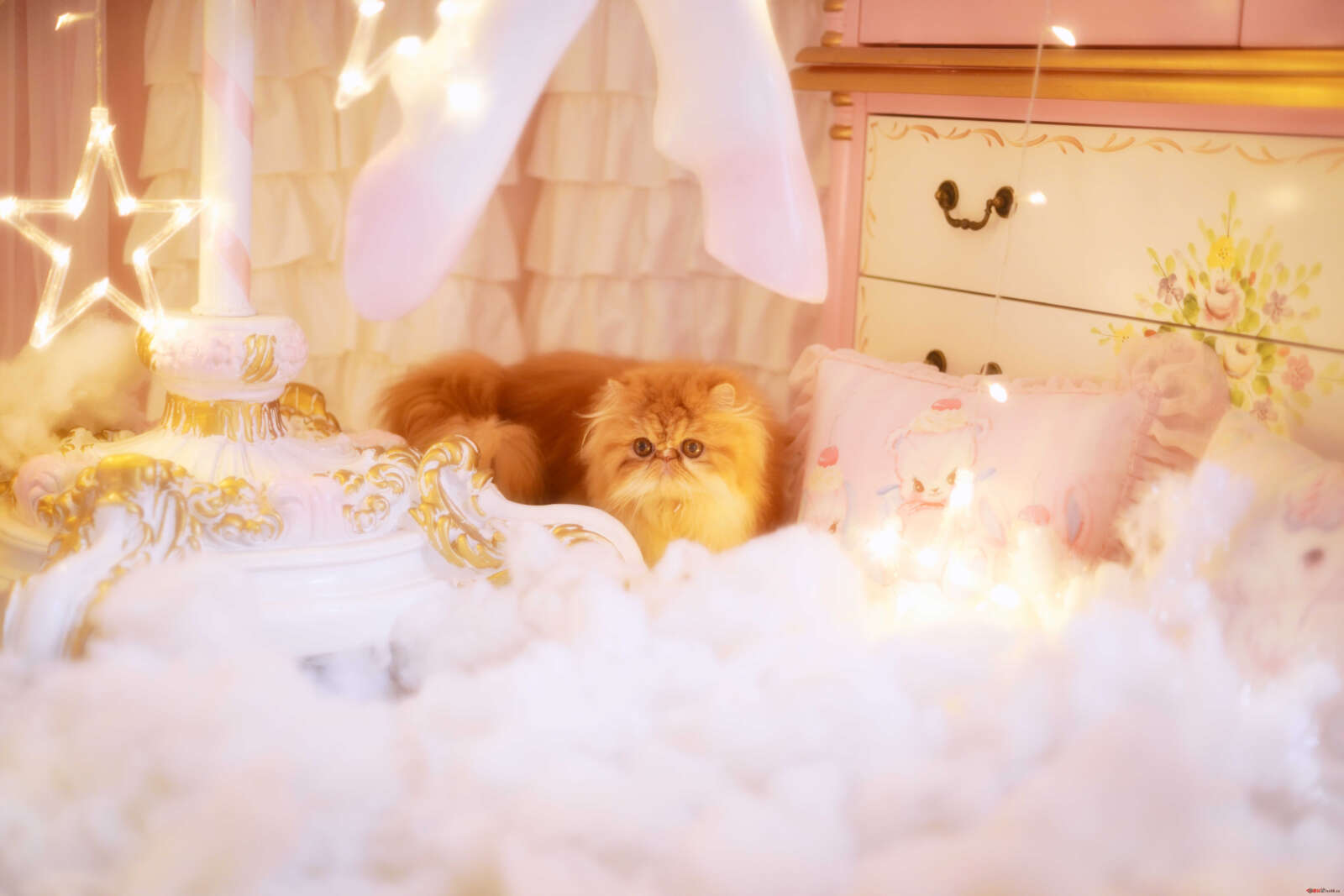 https://www.lss77.com/wp-content/uploads/2021/02/a-2-209-1600x1067.jpg
