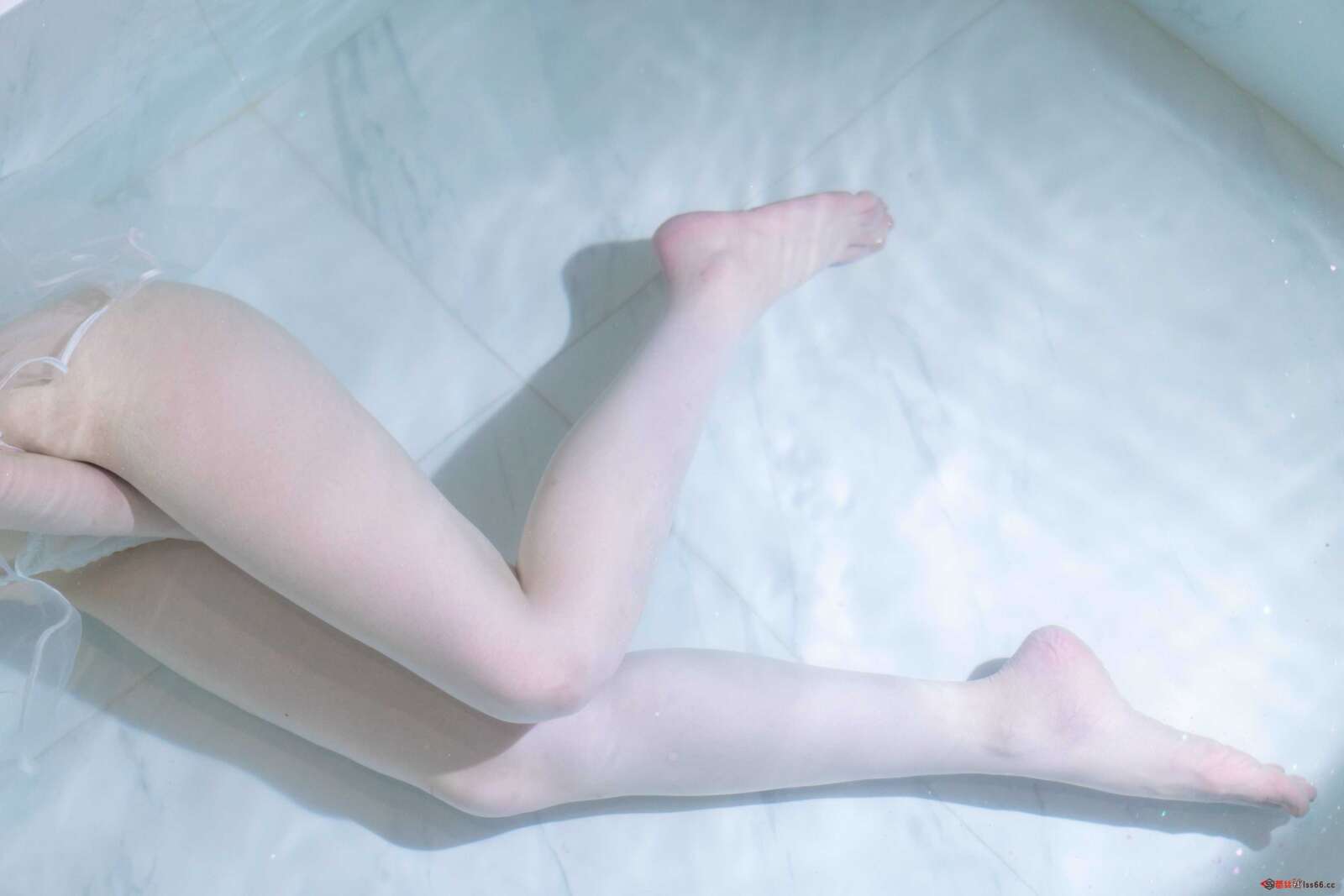 https://www.lss77.com/wp-content/uploads/2021/02/a-26-76-1600x1067.jpg