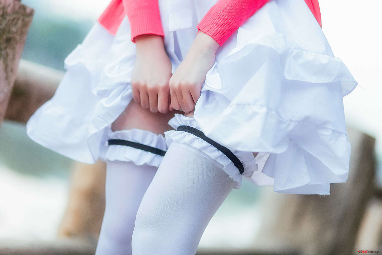 https://www.lss77.com/wp-content/uploads/2021/02/a-3-17-1600x1067.jpg