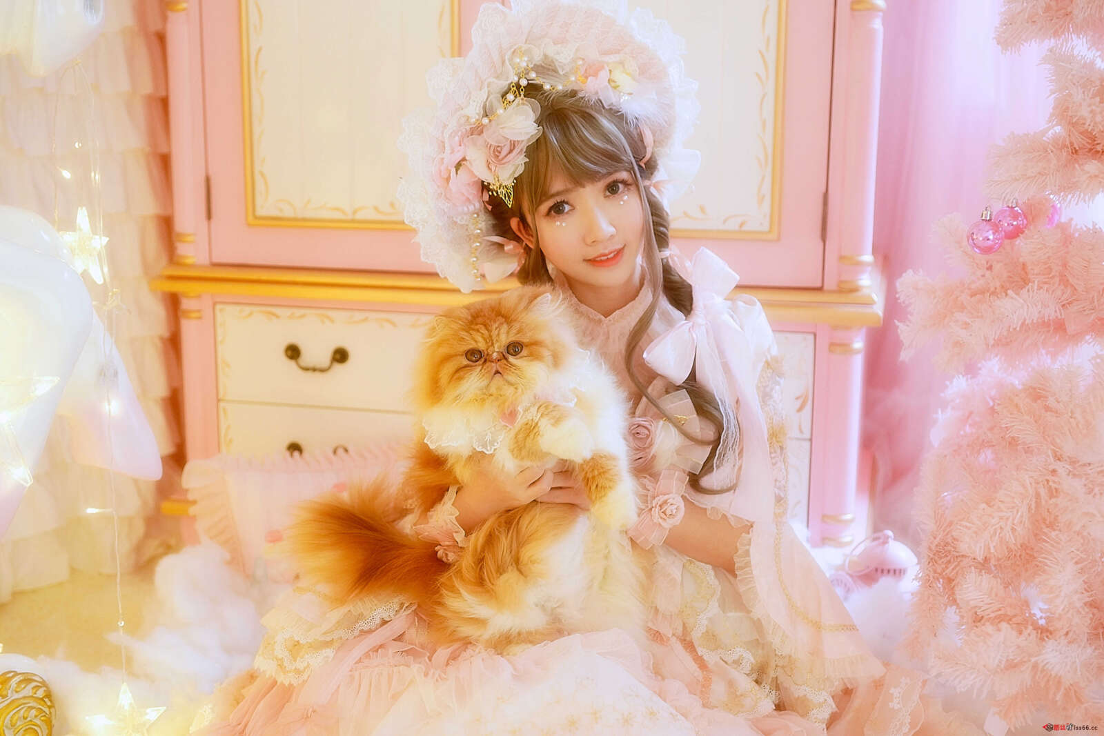 https://www.lss77.com/wp-content/uploads/2021/02/a-5-204-1600x1067.jpg