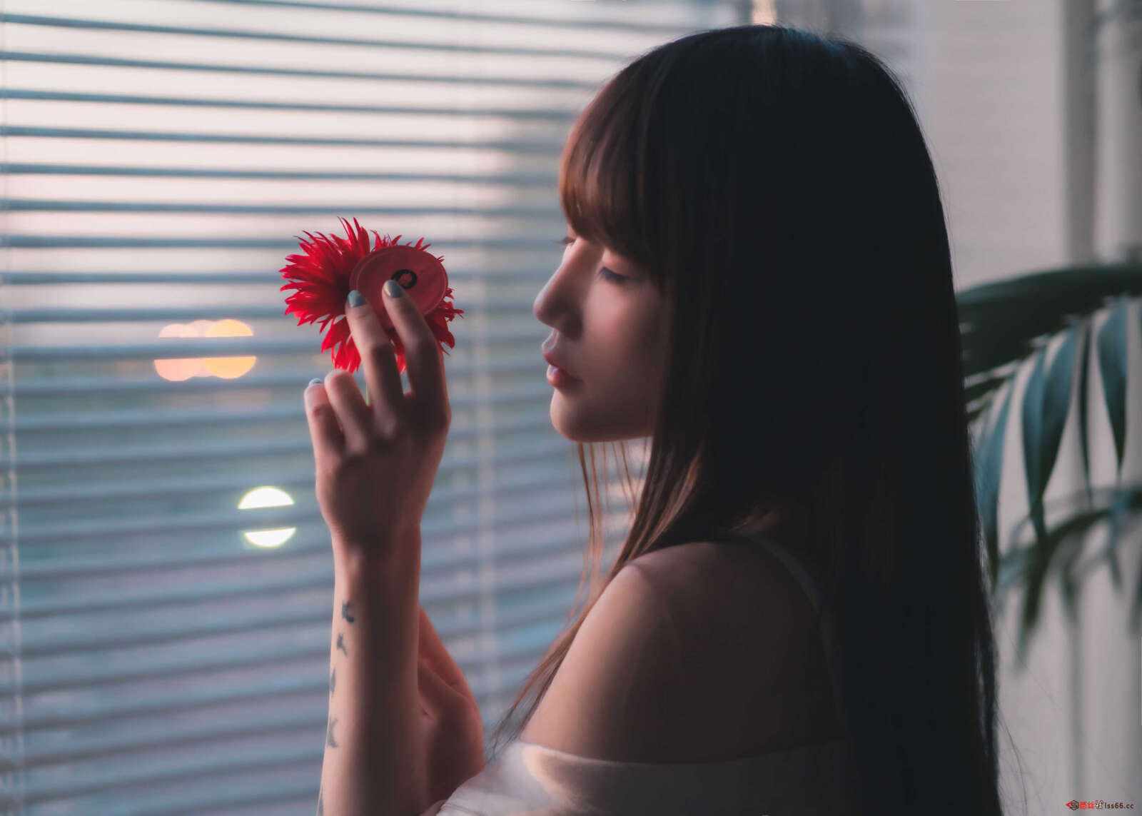 https://www.lss77.com/wp-content/uploads/2021/02/a-6-41-1600x1143.jpg