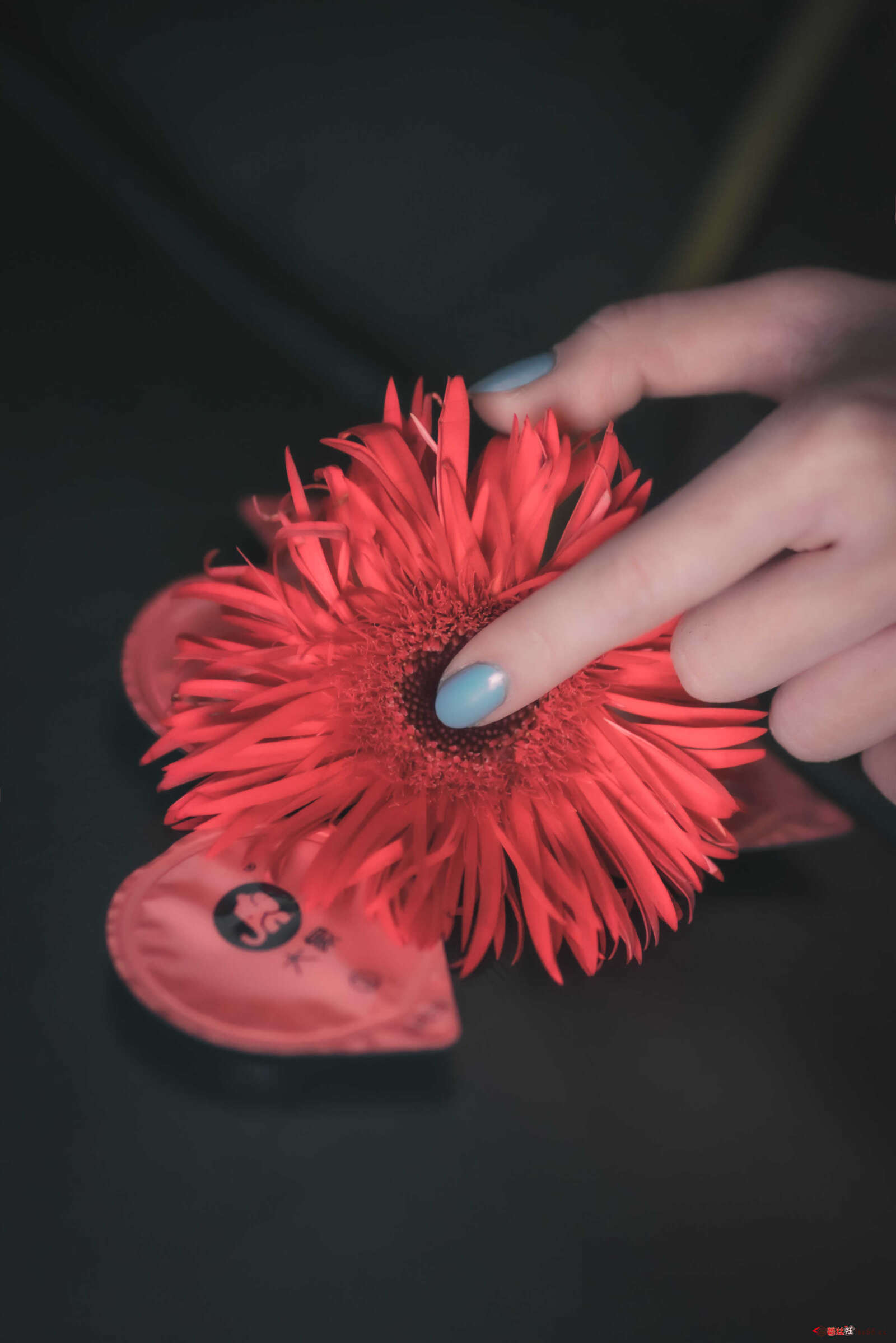 https://www.lss77.com/wp-content/uploads/2021/02/a-7-40-1600x2398.jpg