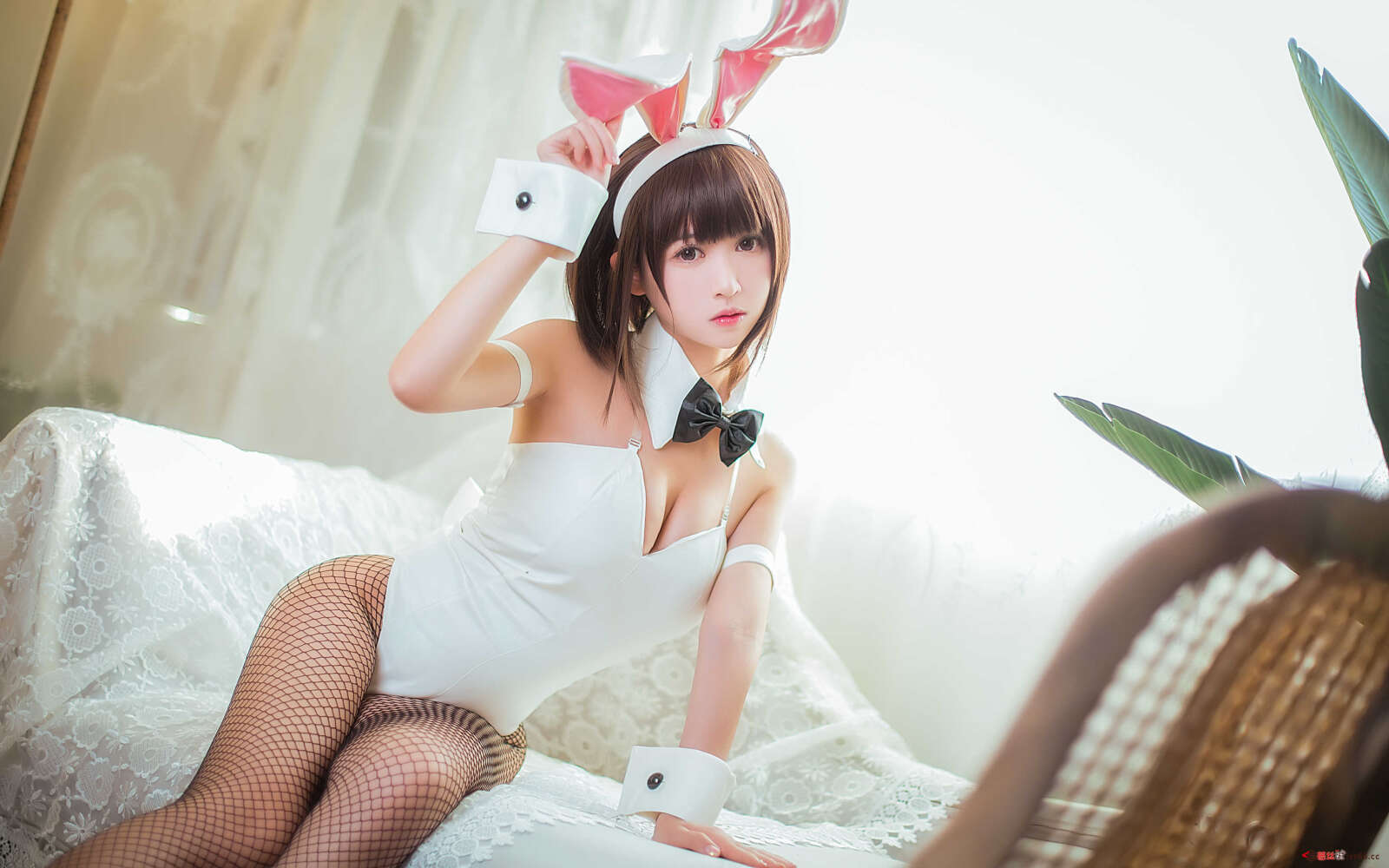 https://www.lss77.com/wp-content/uploads/2021/02/a-9-205-1600x1000.jpg