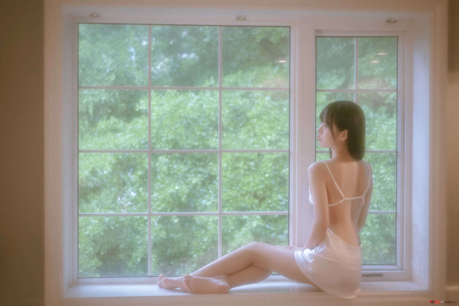 https://www.lss77.com/wp-content/uploads/2021/02/r-1-90-1600x1067.jpg