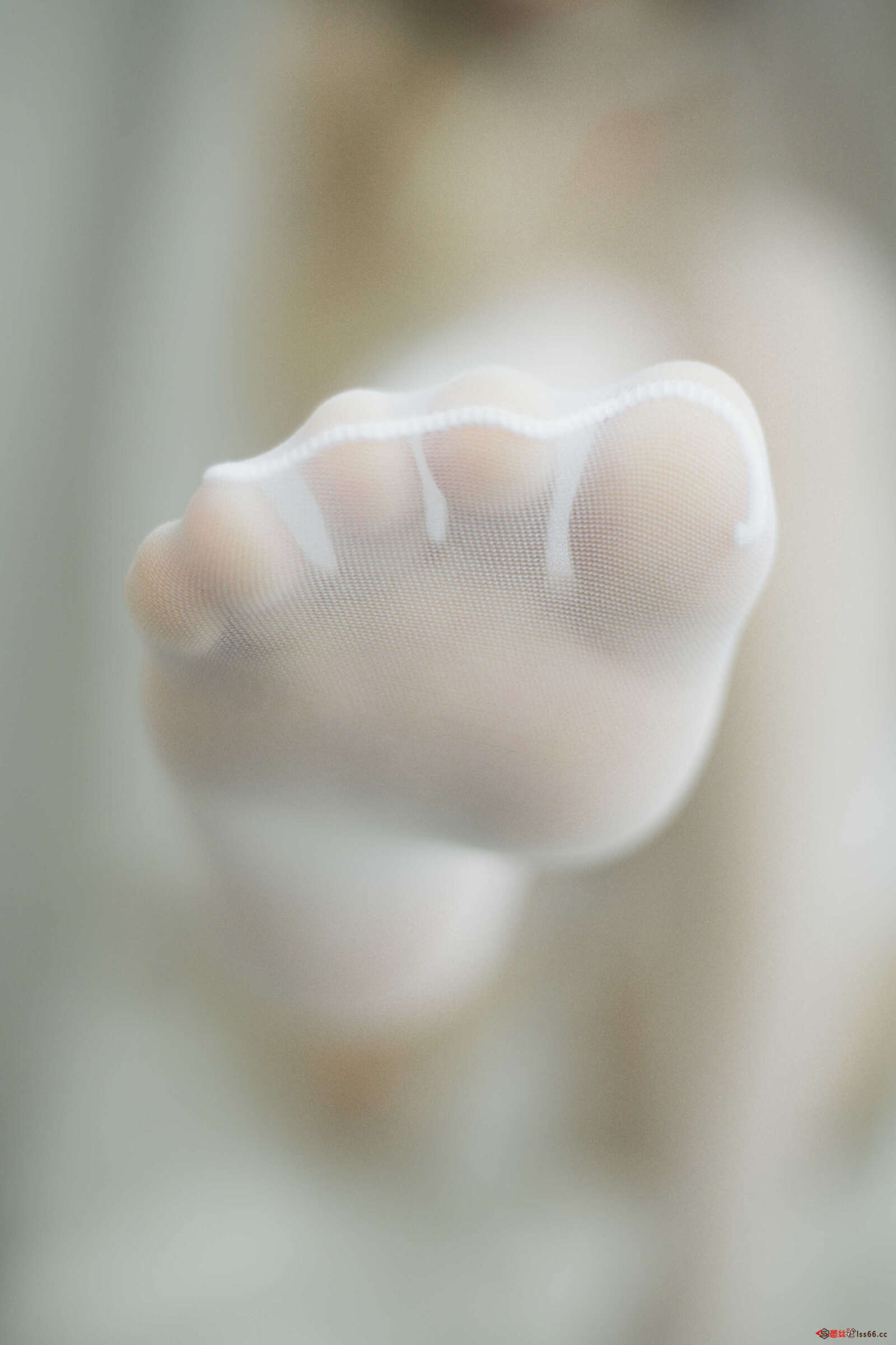 https://www.lss77.com/wp-content/uploads/2021/02/r-10-106-1600x2400.jpg