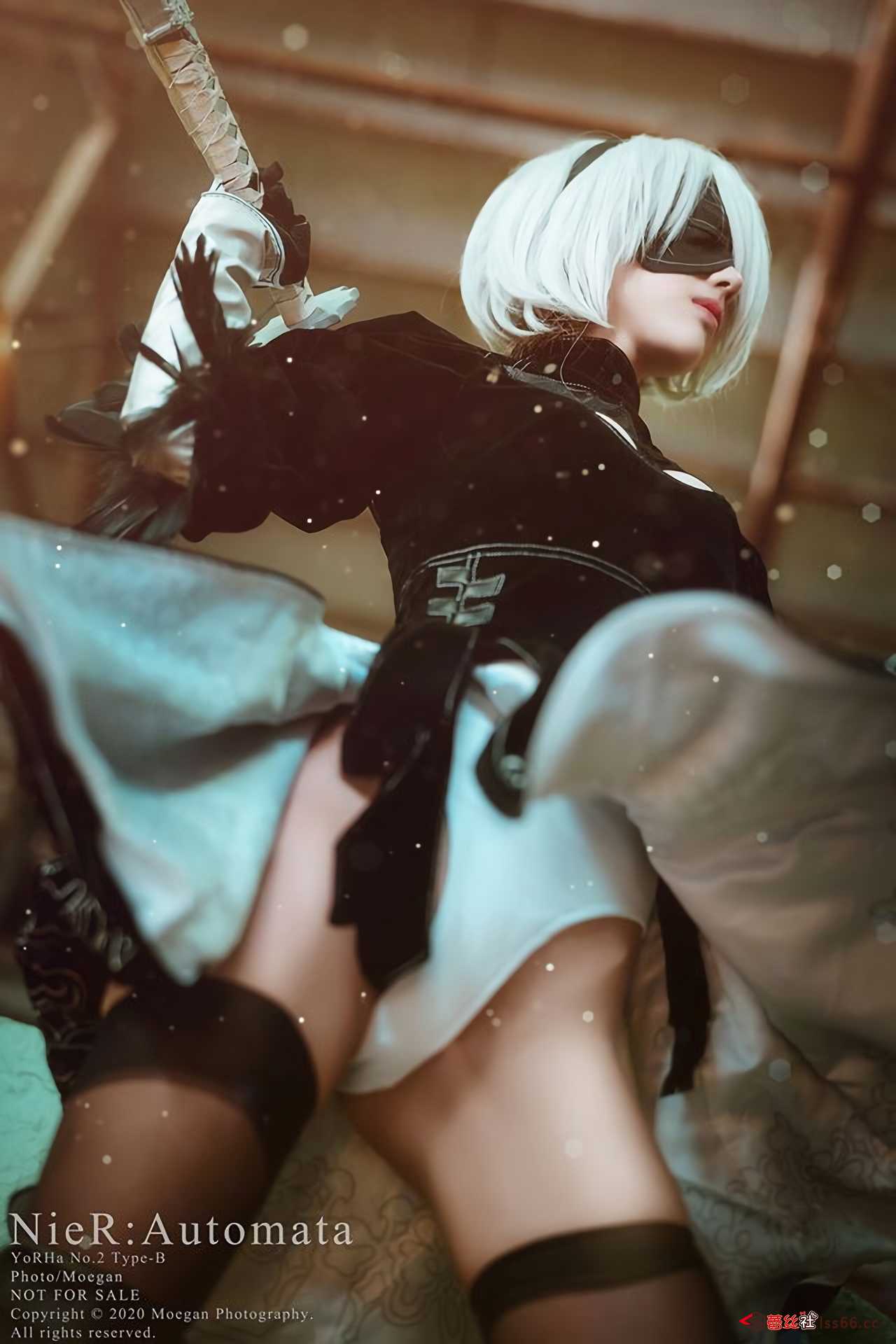 https://www.lss77.com/wp-content/uploads/2021/02/r-10-5.jpg