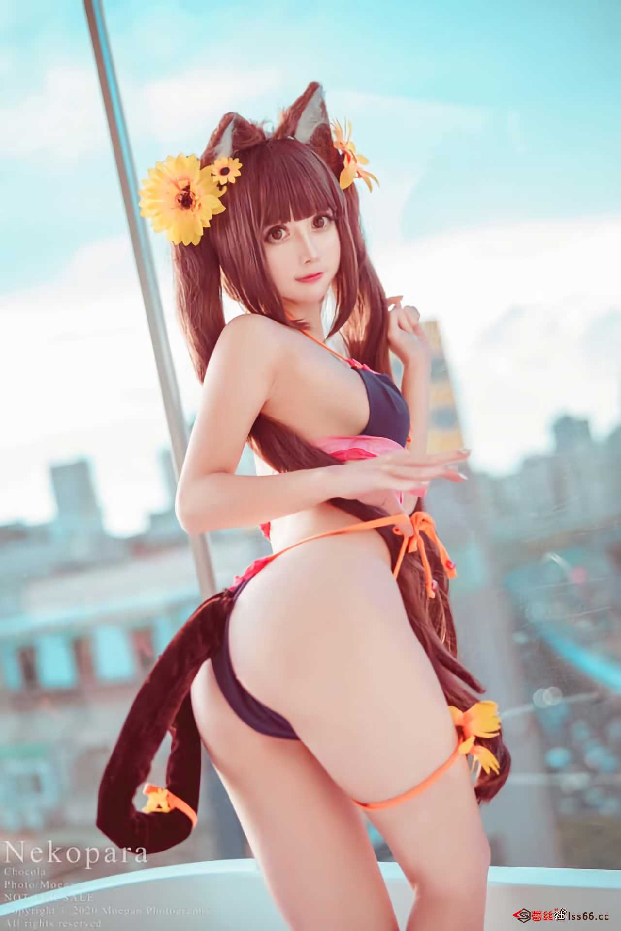 https://www.lss77.com/wp-content/uploads/2021/02/r-11-26.jpg
