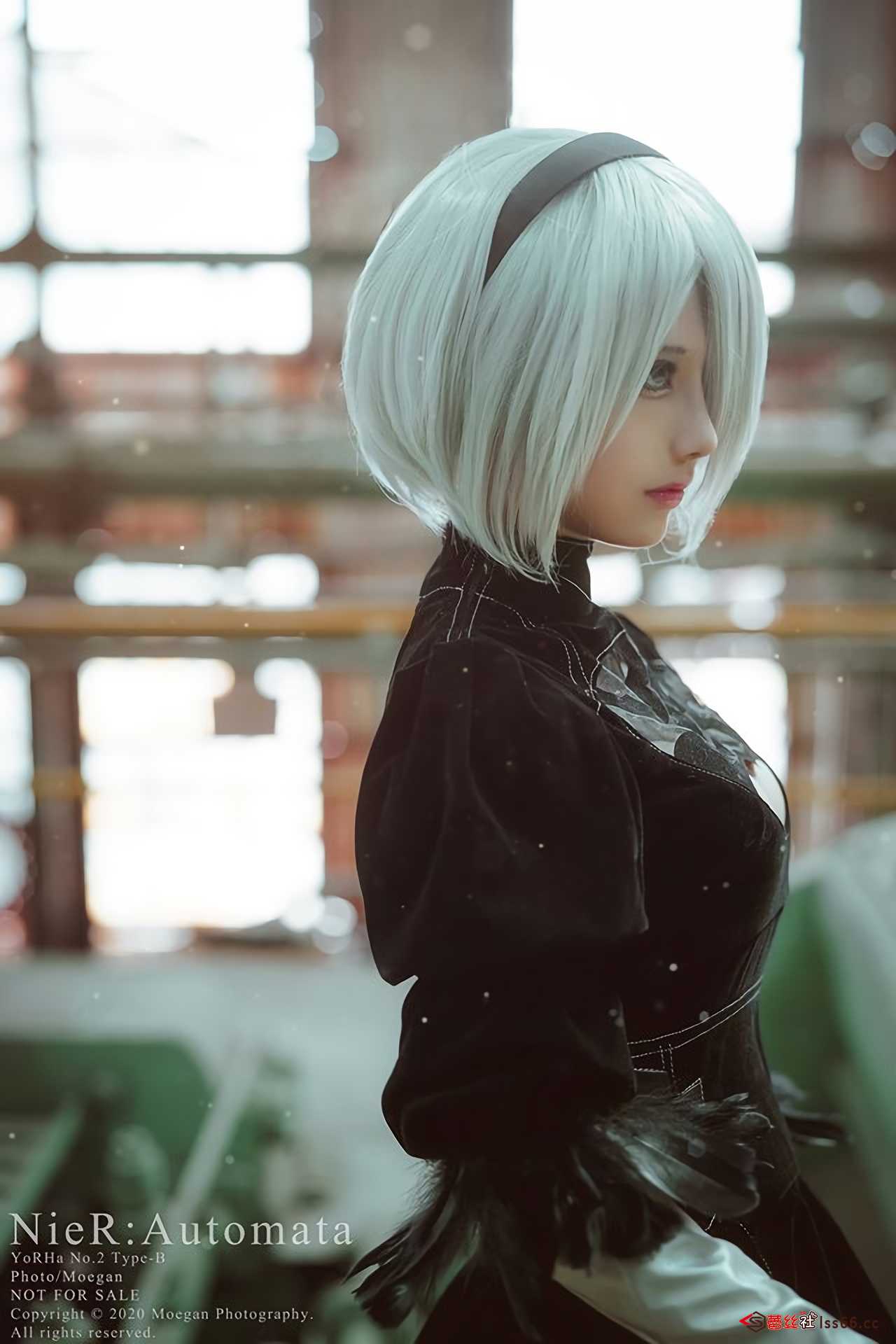 https://www.lss77.com/wp-content/uploads/2021/02/r-11-5.jpg