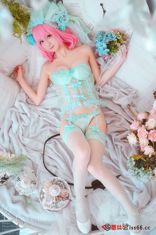 https://www.lss77.com/wp-content/uploads/2021/02/r-14-11.jpg