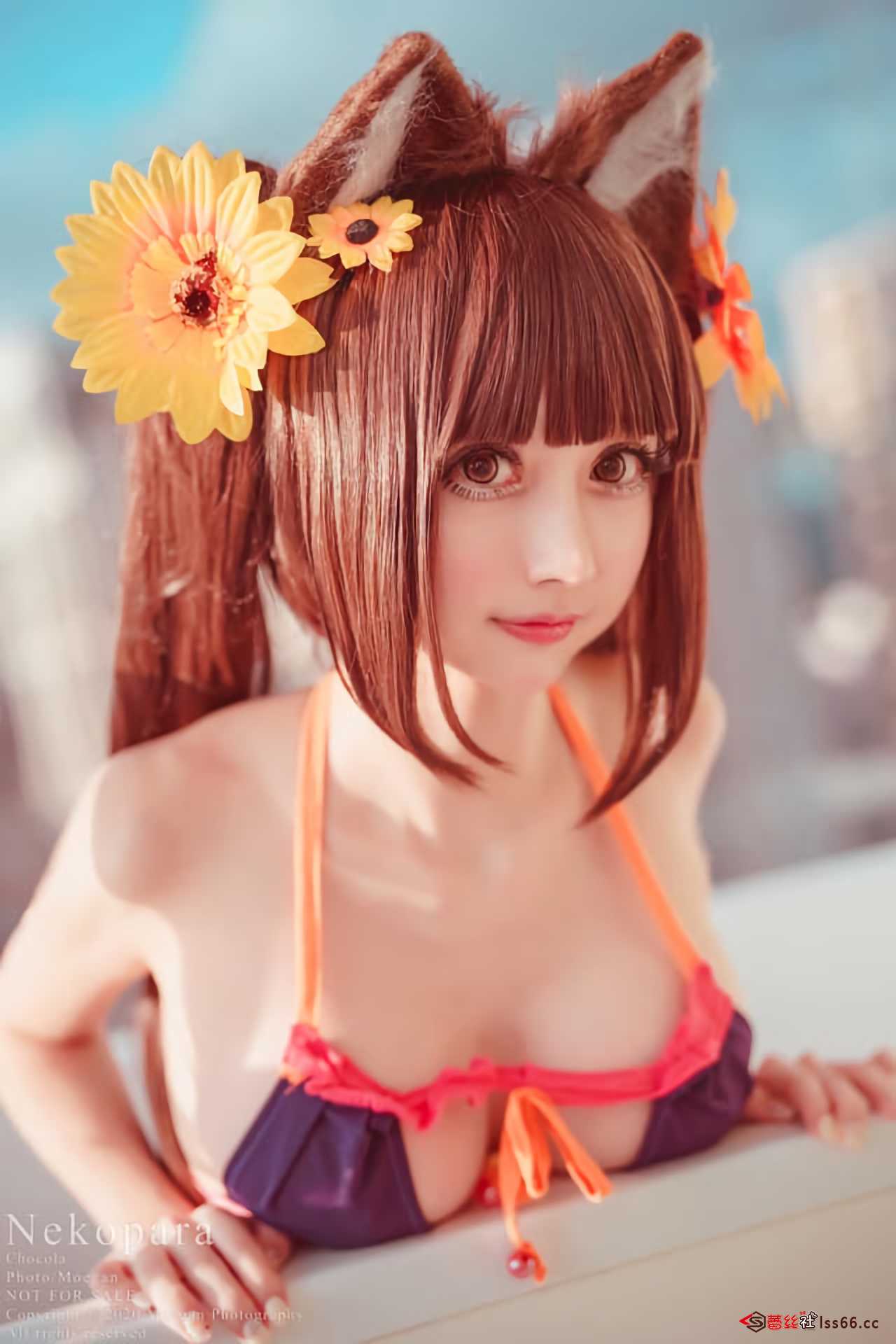 https://www.lss77.com/wp-content/uploads/2021/02/r-2-34.jpg