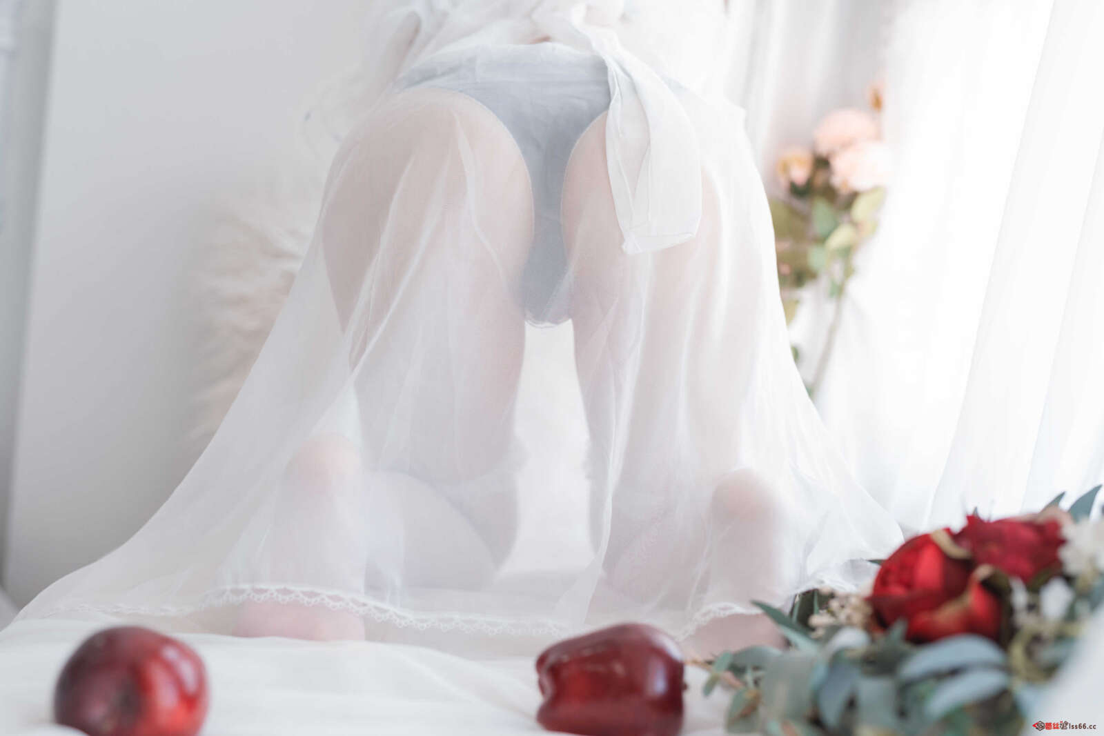 https://www.lss77.com/wp-content/uploads/2021/02/r-27-74-1600x1067.jpg