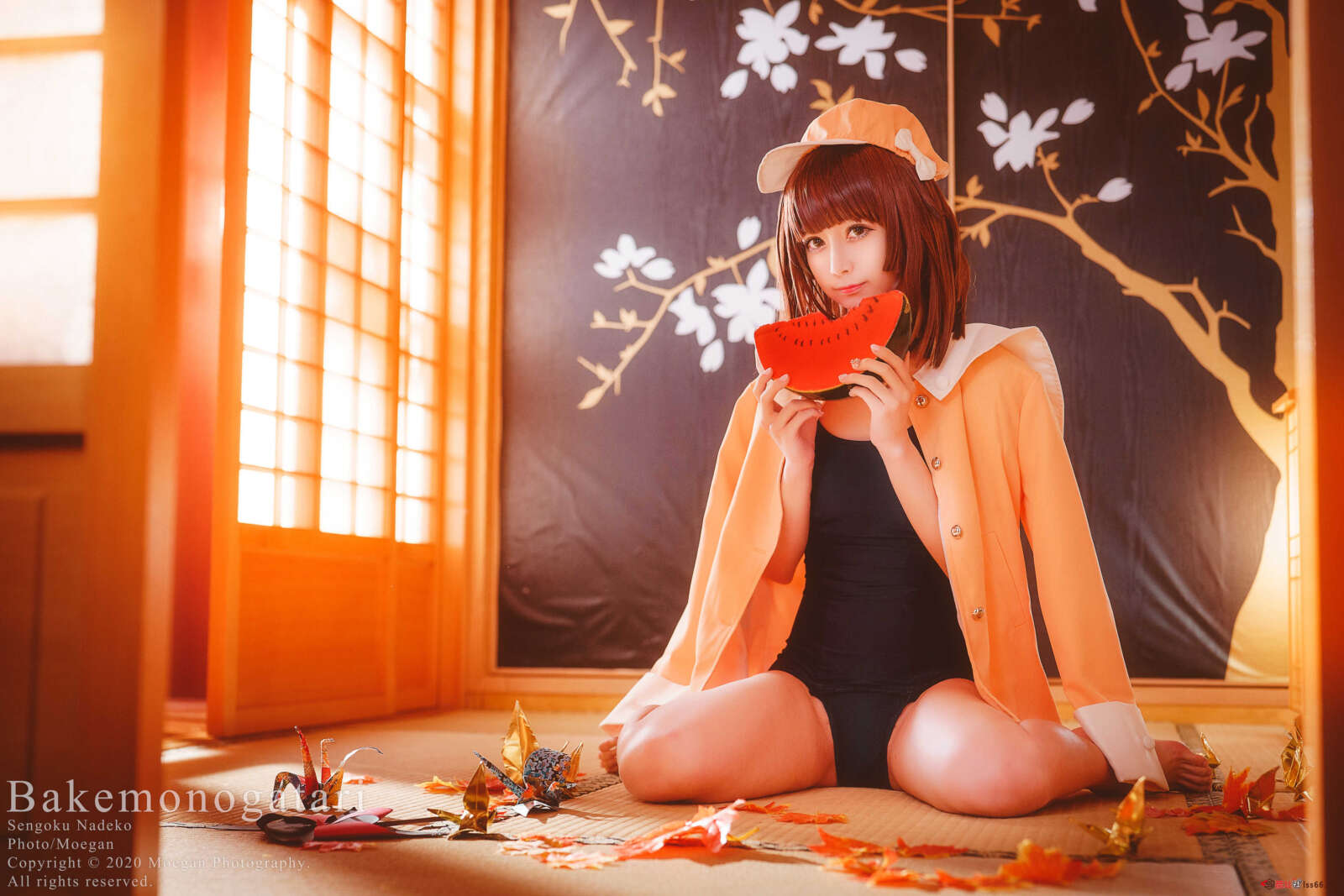 https://www.lss77.com/wp-content/uploads/2021/02/r-3-20-1600x1067.jpg
