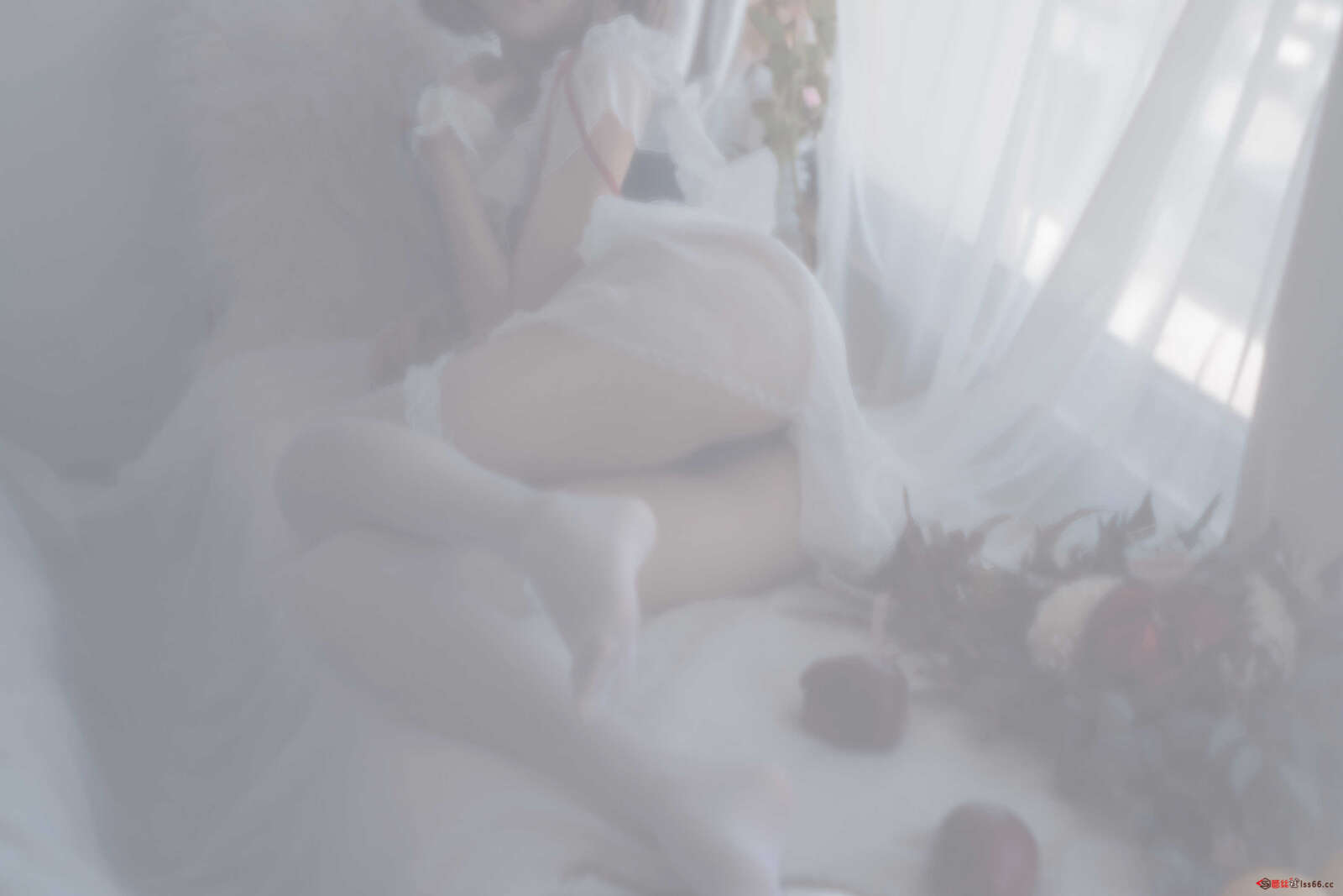 https://www.lss77.com/wp-content/uploads/2021/02/r-33-57-1600x1067.jpg