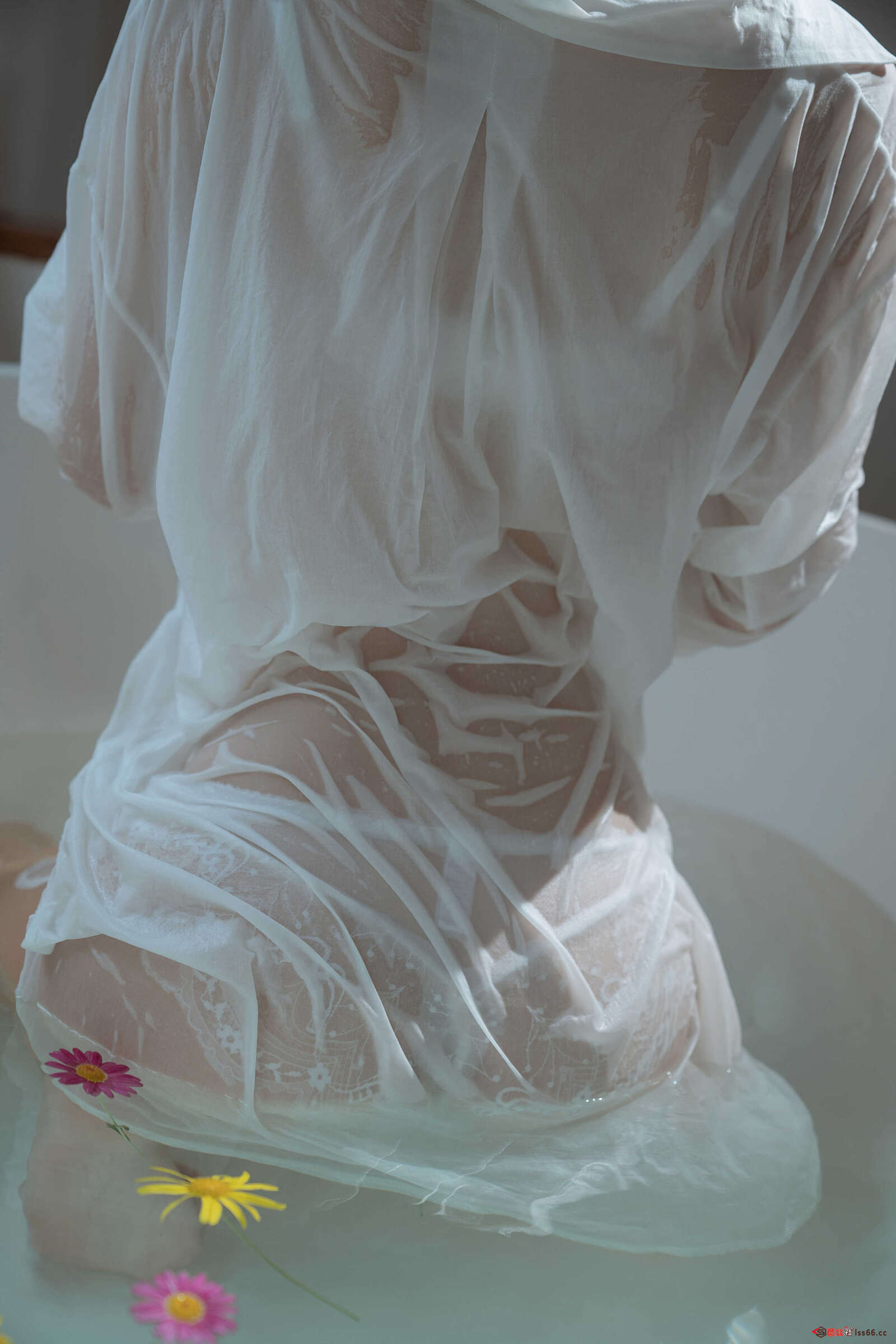 https://www.lss77.com/wp-content/uploads/2021/02/r-34-9-1600x2398.jpg