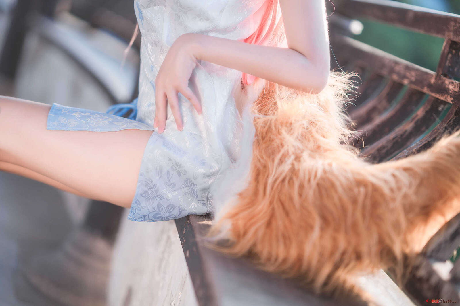 https://www.lss77.com/wp-content/uploads/2021/02/r-36-52-1600x1067.jpg