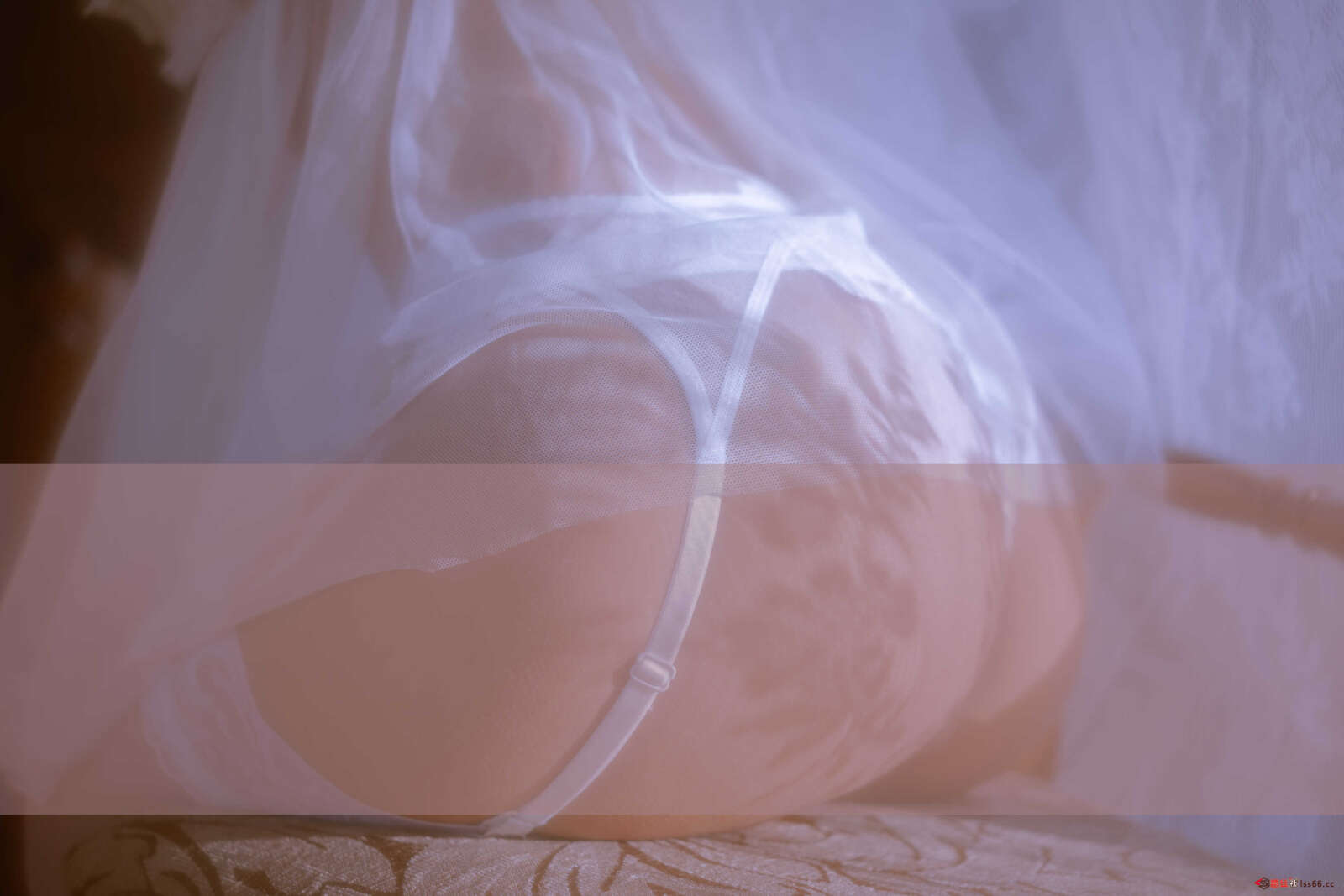 https://www.lss77.com/wp-content/uploads/2021/02/r-40-8-1600x1067.jpg