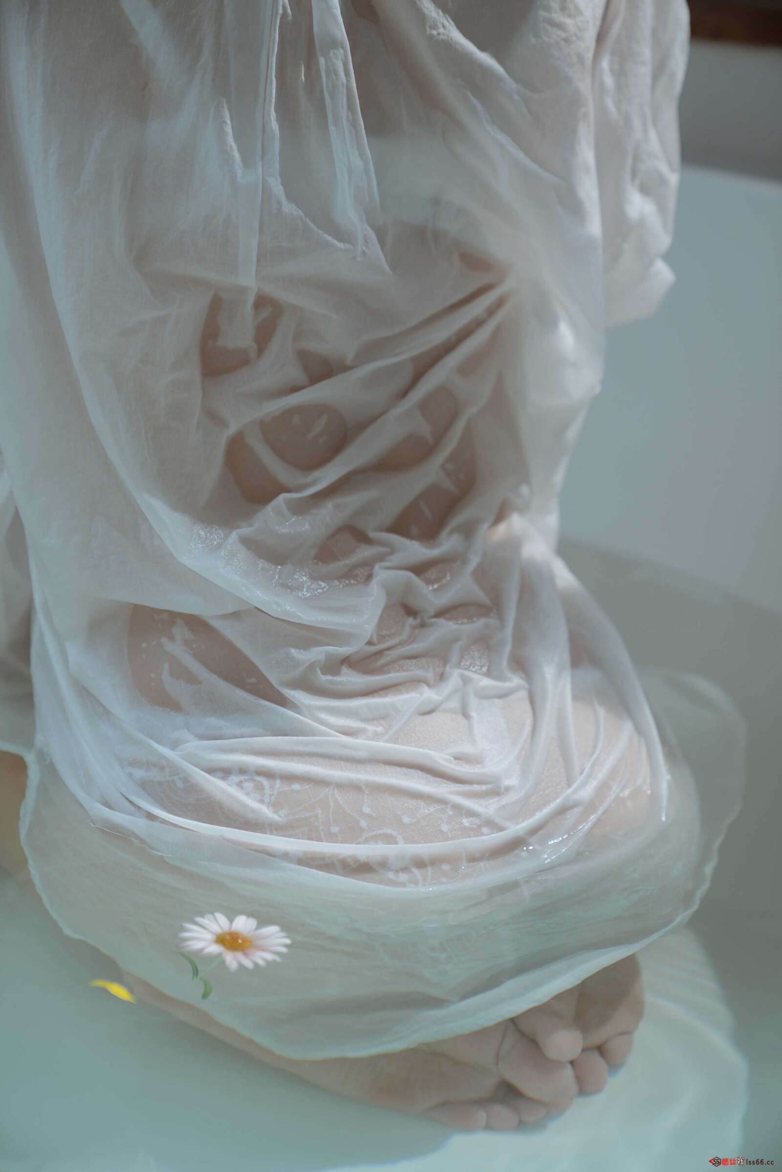 https://www.lss77.com/wp-content/uploads/2021/02/r-43-6-1600x2398.jpg