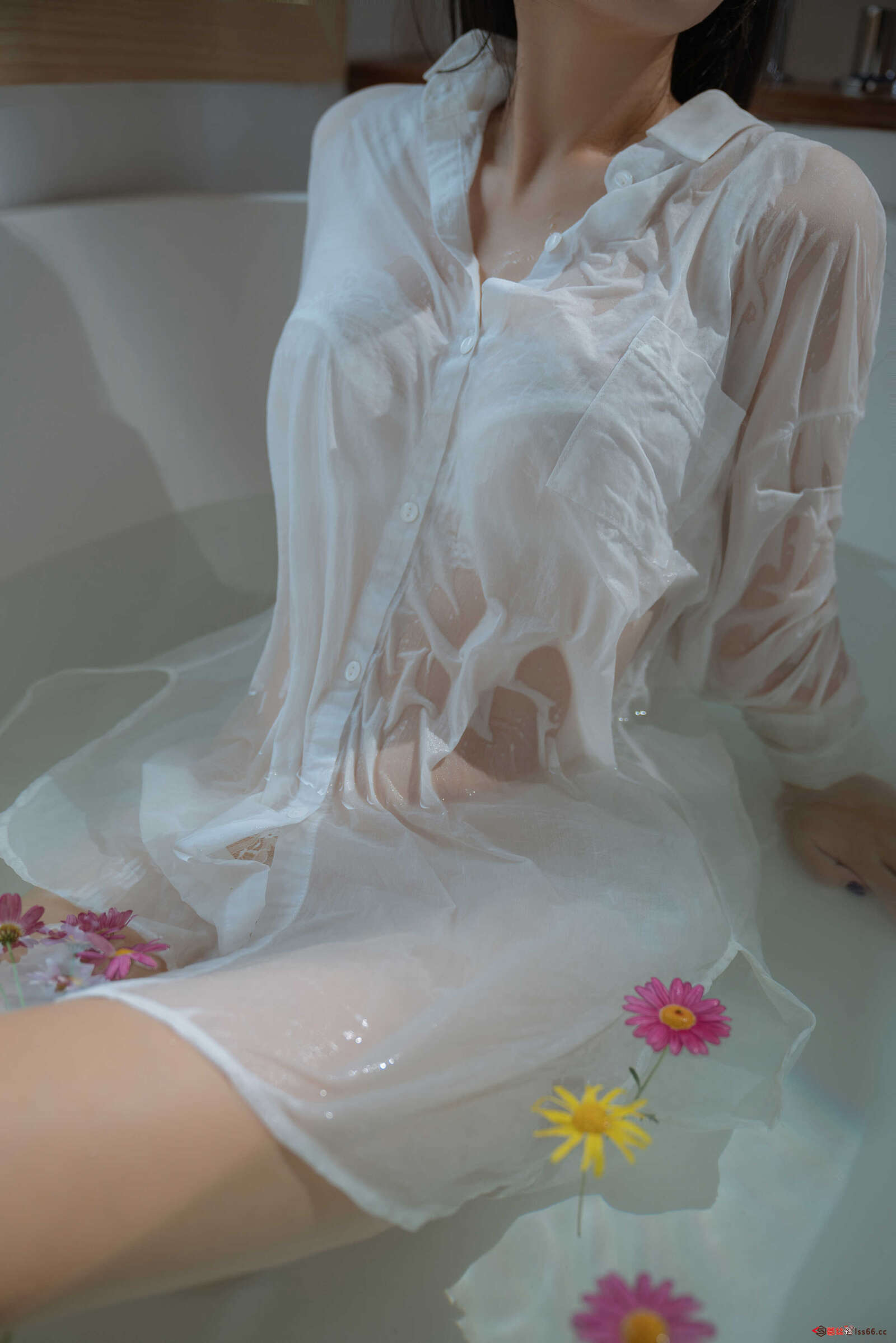 https://www.lss77.com/wp-content/uploads/2021/02/r-51-3-1600x2398.jpg