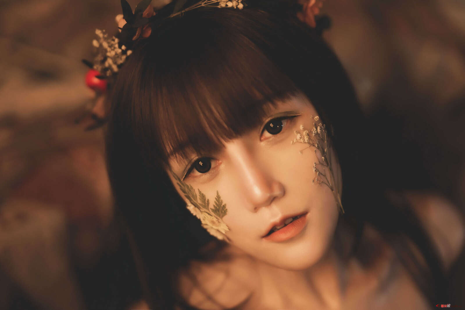 https://www.lss77.com/wp-content/uploads/2021/02/r-59-1600x1067.jpg