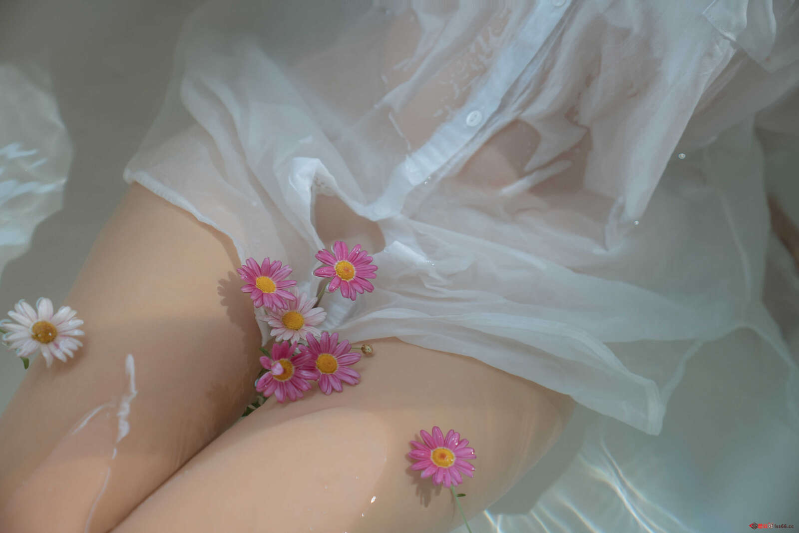 https://www.lss77.com/wp-content/uploads/2021/02/r-63-2-1600x1067.jpg