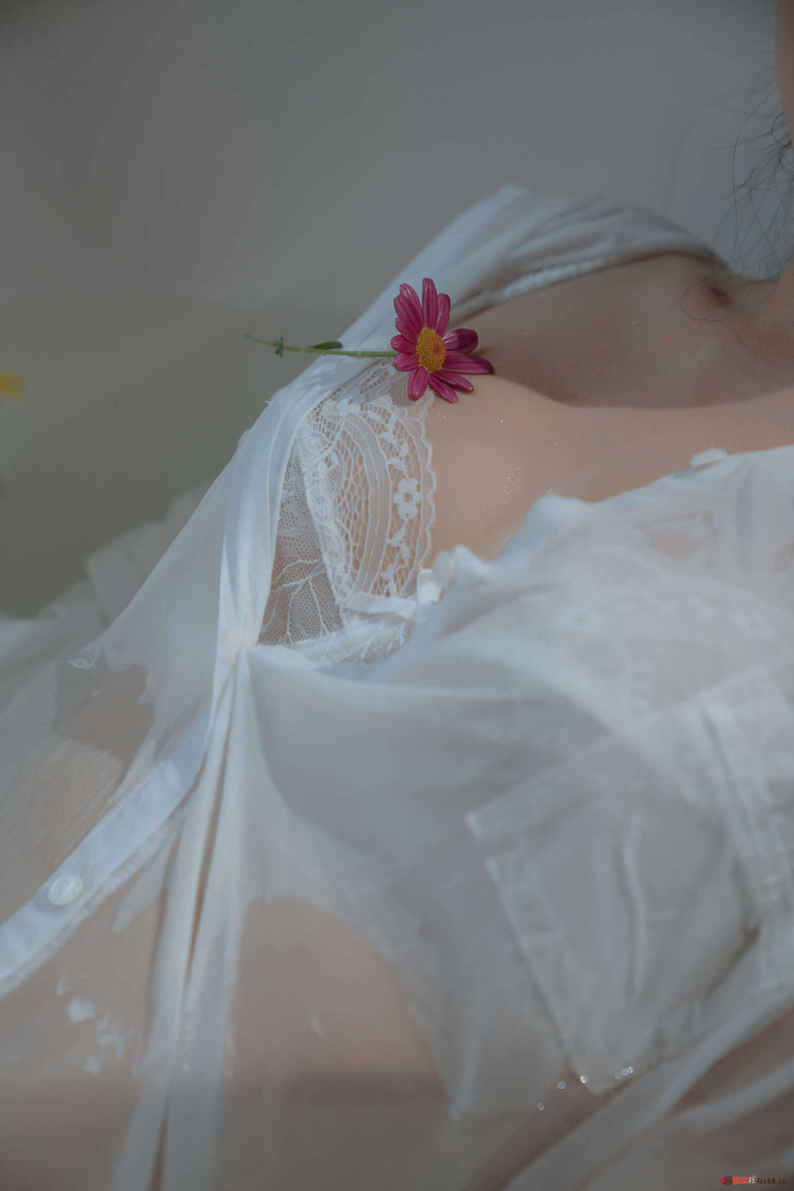 https://www.lss77.com/wp-content/uploads/2021/02/r-66-1-1600x2398.jpg