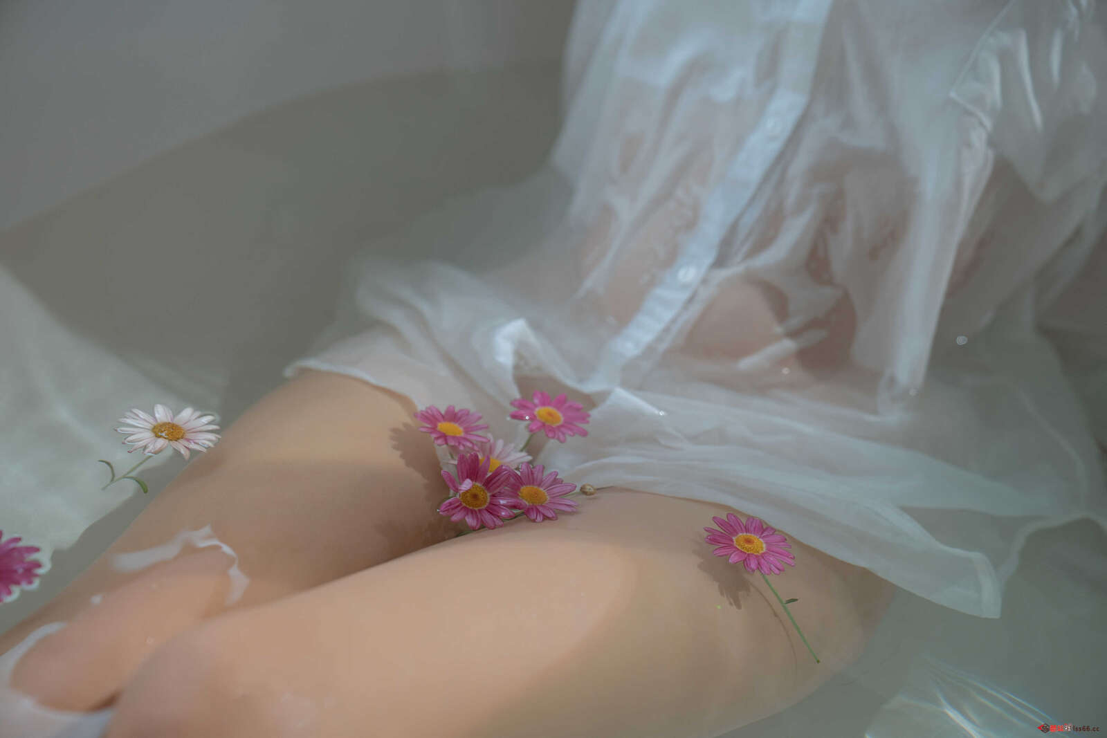 https://www.lss77.com/wp-content/uploads/2021/02/r-69-1-1600x1067.jpg