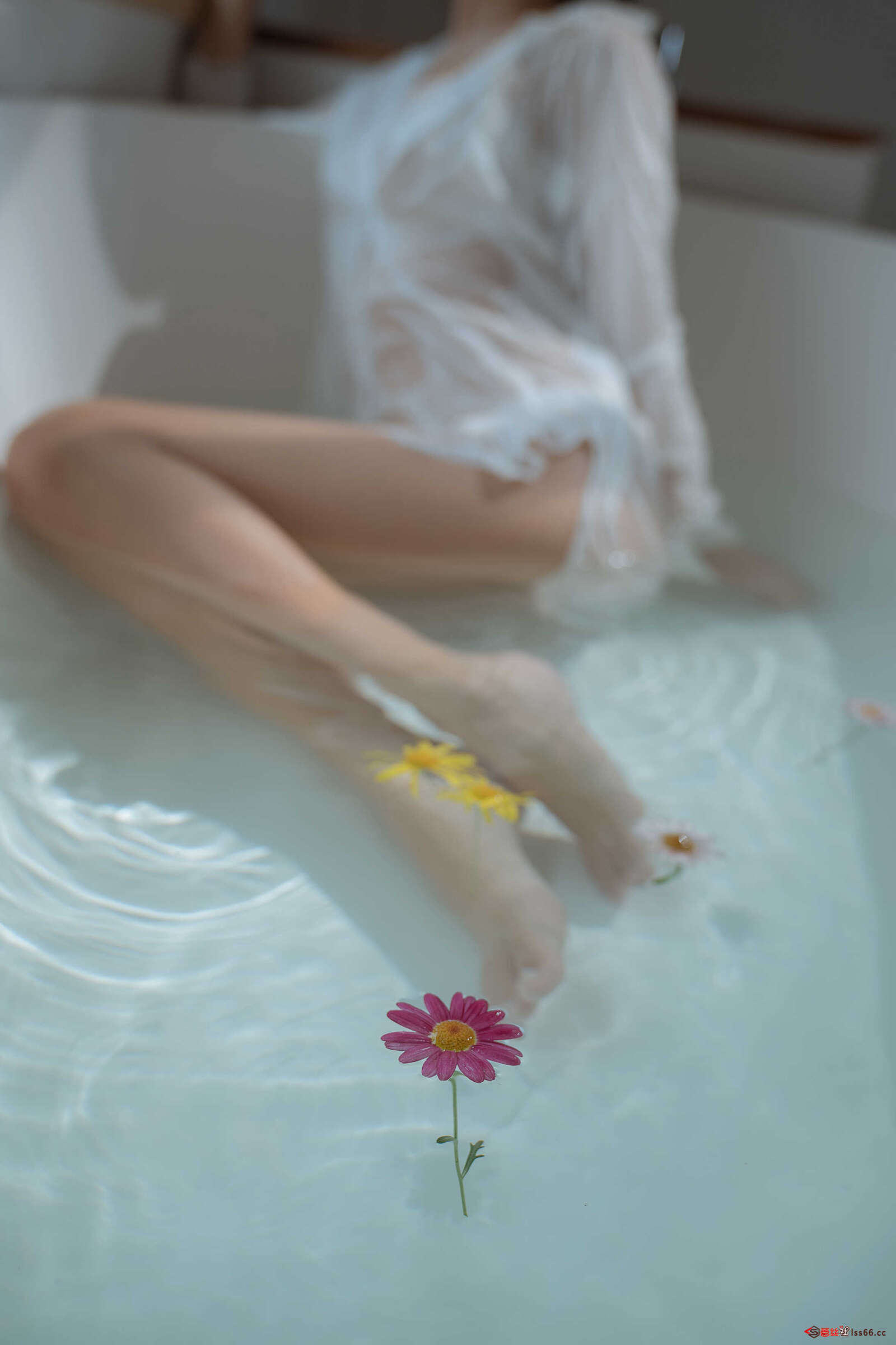 https://www.lss77.com/wp-content/uploads/2021/02/r-71-1-1600x2400.jpg