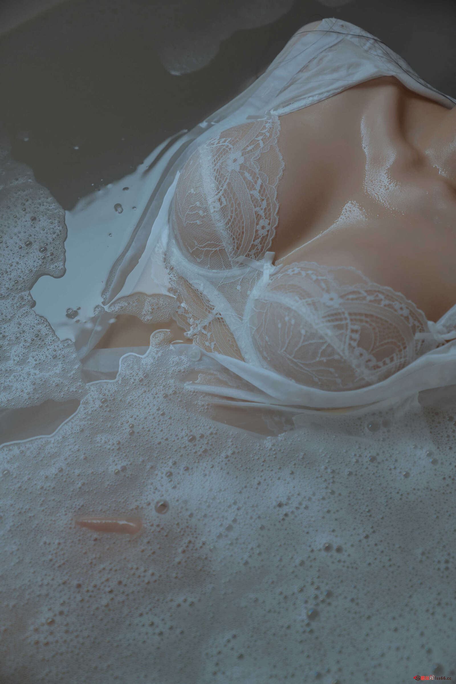 https://www.lss77.com/wp-content/uploads/2021/02/r-8-54-1600x2398.jpg