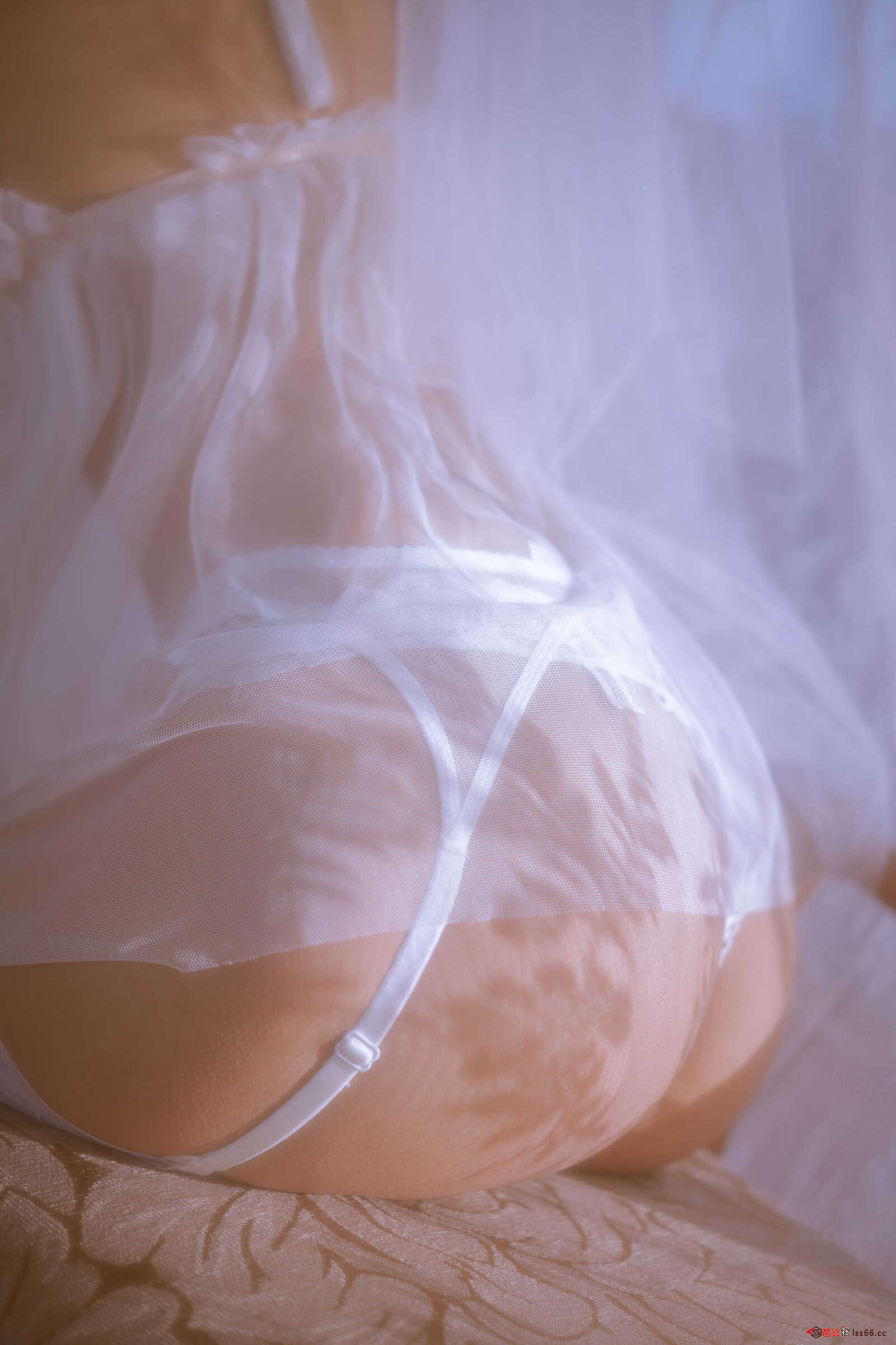 https://www.lss77.com/wp-content/uploads/2021/02/r-8-55-1600x2400.jpg