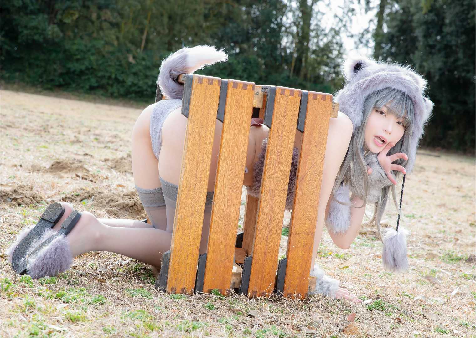 https://www.lss77.com/wp-content/uploads/2021/02/x-1.jpg