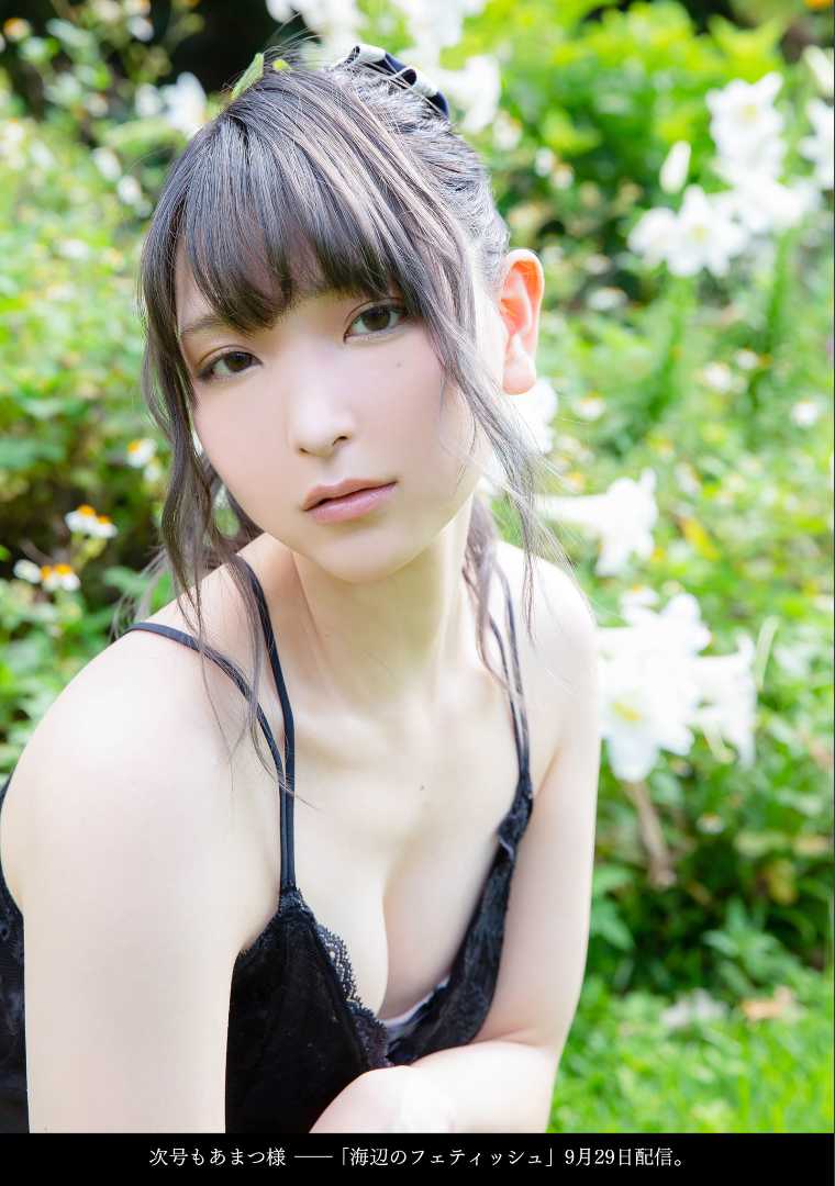 https://www.lss77.com/wp-content/uploads/2021/02/x-17-2.jpg