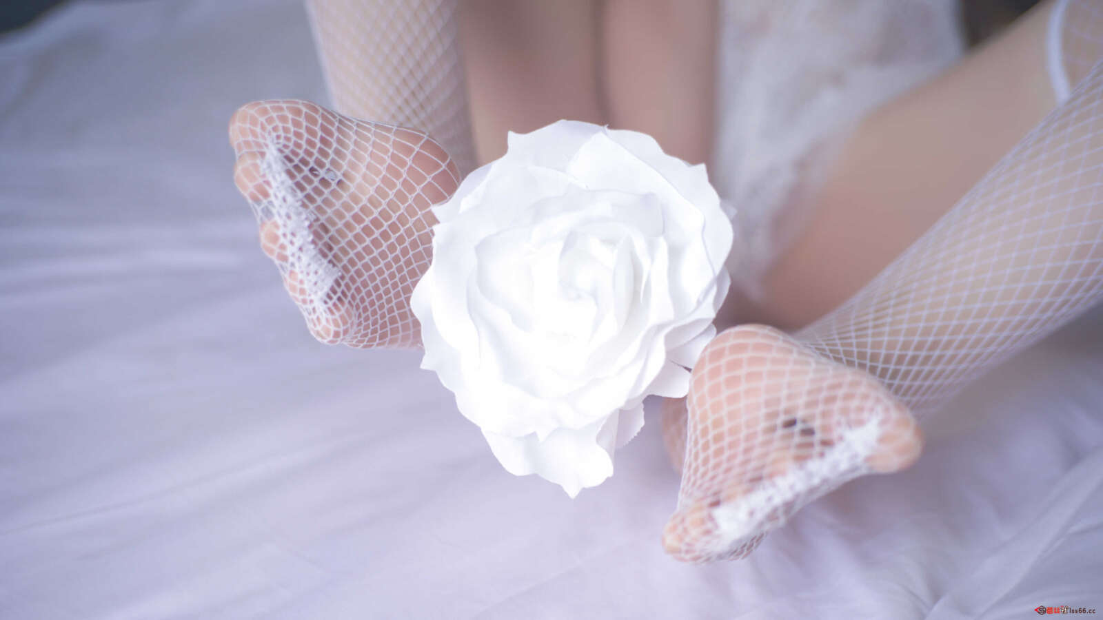 https://www.lss77.com/wp-content/uploads/2021/03/0038-4-1600x900.jpg