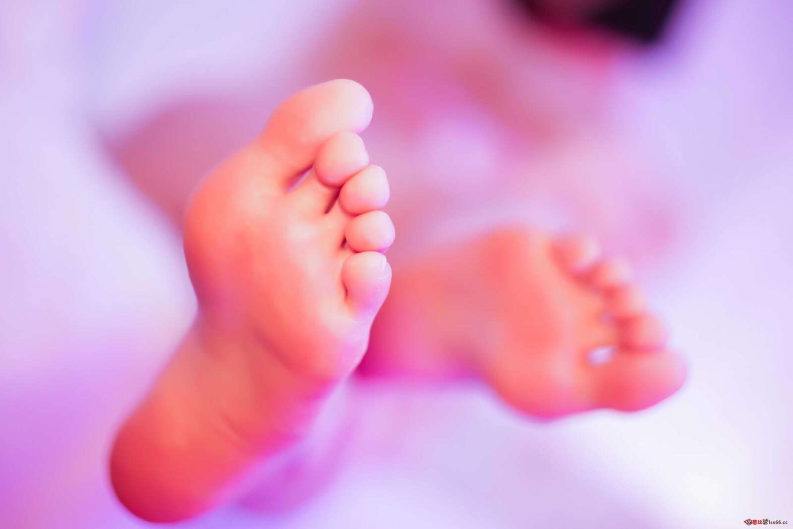 https://www.lss77.com/wp-content/uploads/2021/03/16-21-1600x1067.jpg