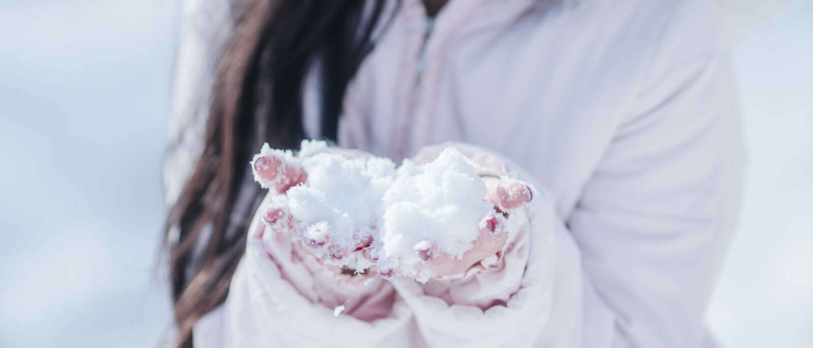 https://www.lss77.com/wp-content/uploads/2021/03/2018-03-01-113551-1600x686.jpg
