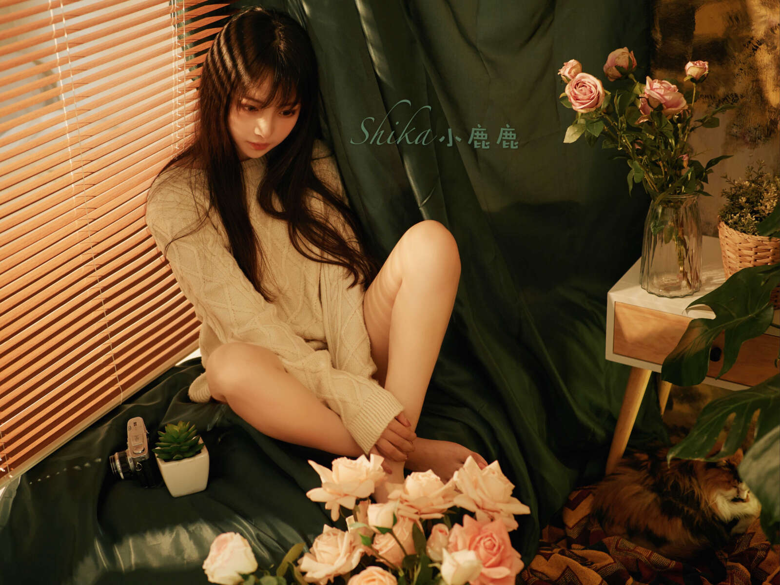 https://www.lss77.com/wp-content/uploads/2021/03/2018-12-02-221727-1600x1200.jpg