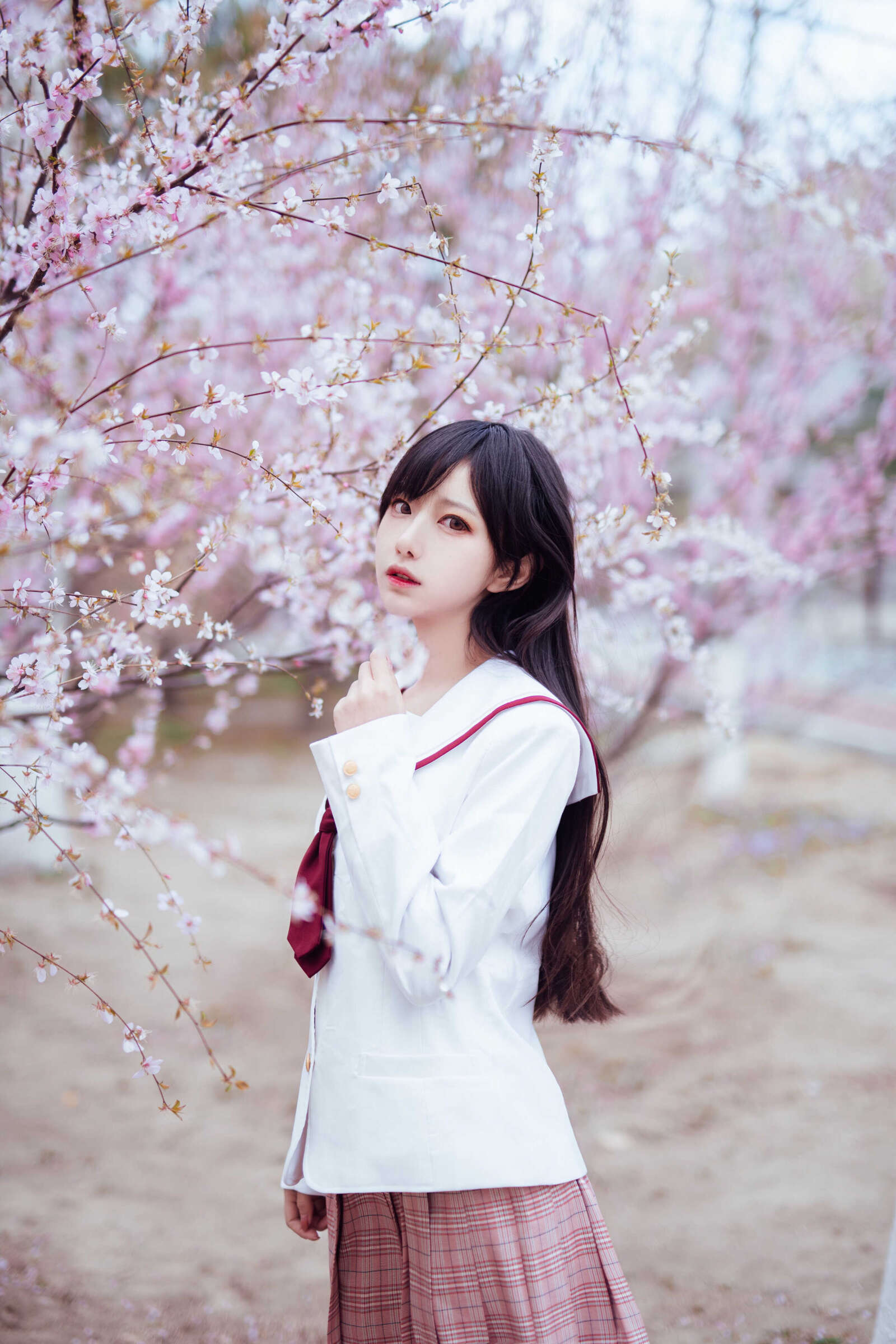 https://www.lss77.com/wp-content/uploads/2021/03/2019-03-31-153309-1600x2400.jpg