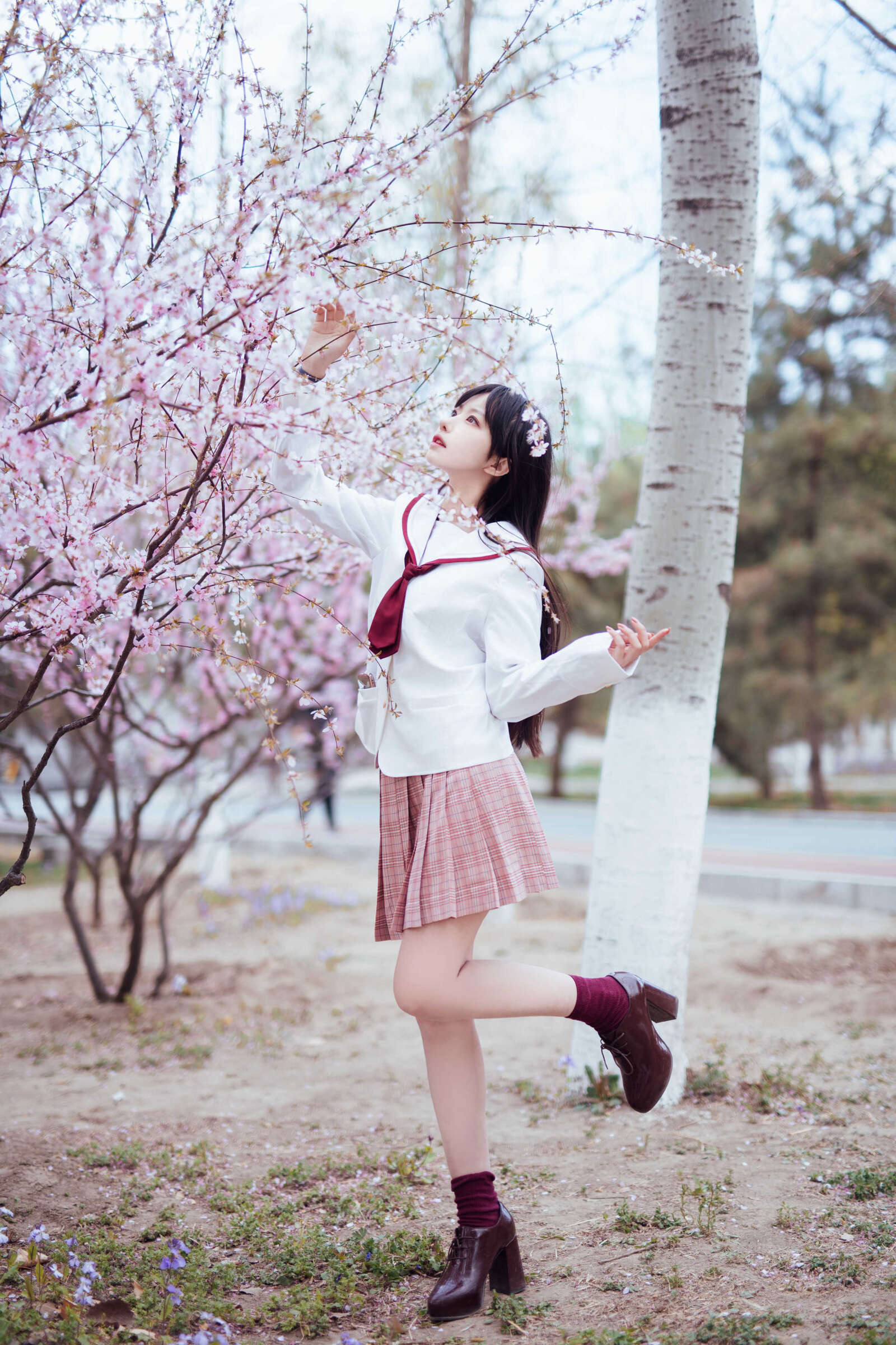 https://www.lss77.com/wp-content/uploads/2021/03/2019-03-31-153510-1600x2400.jpg