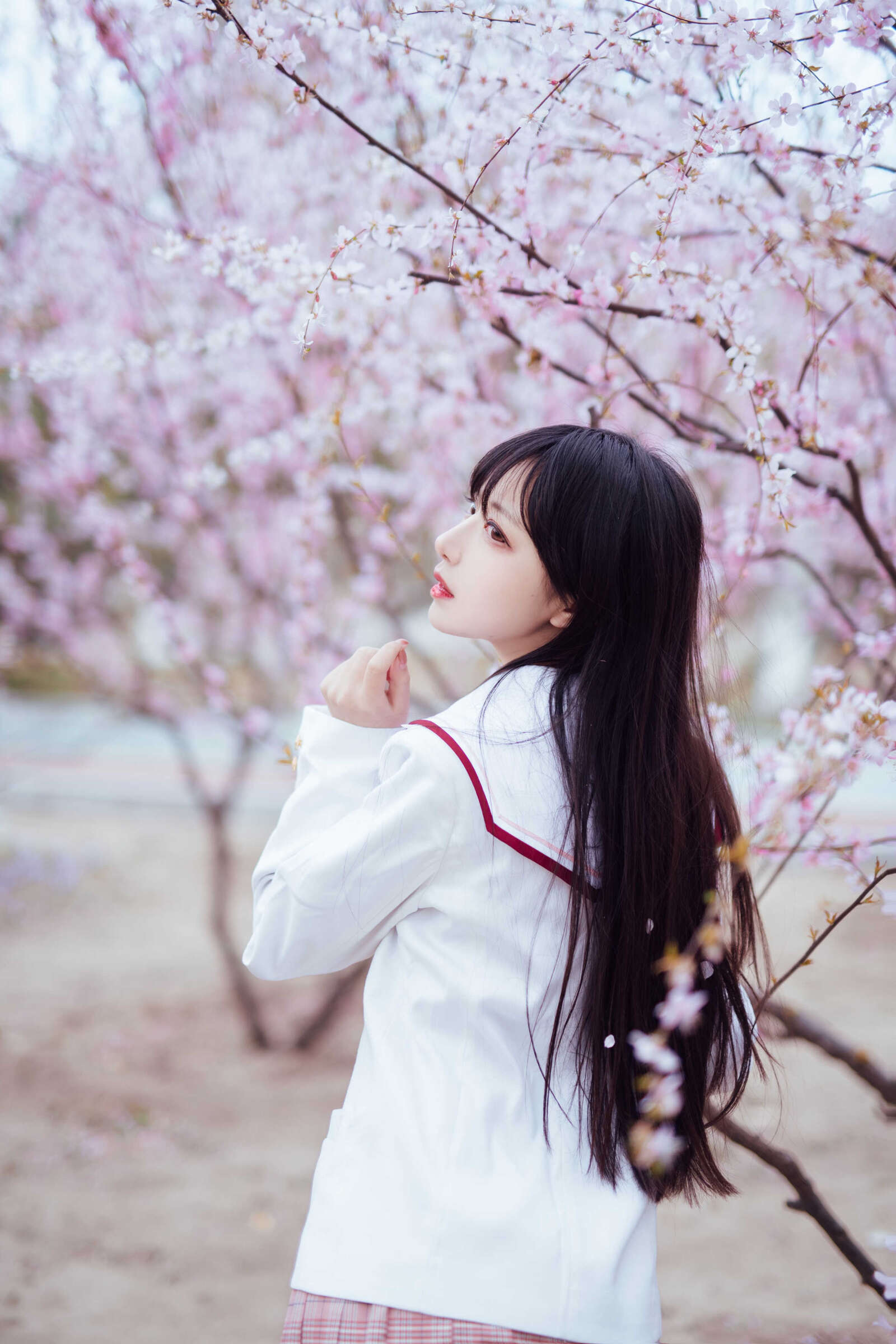 https://www.lss77.com/wp-content/uploads/2021/03/2019-03-31-153903-1600x2400.jpg