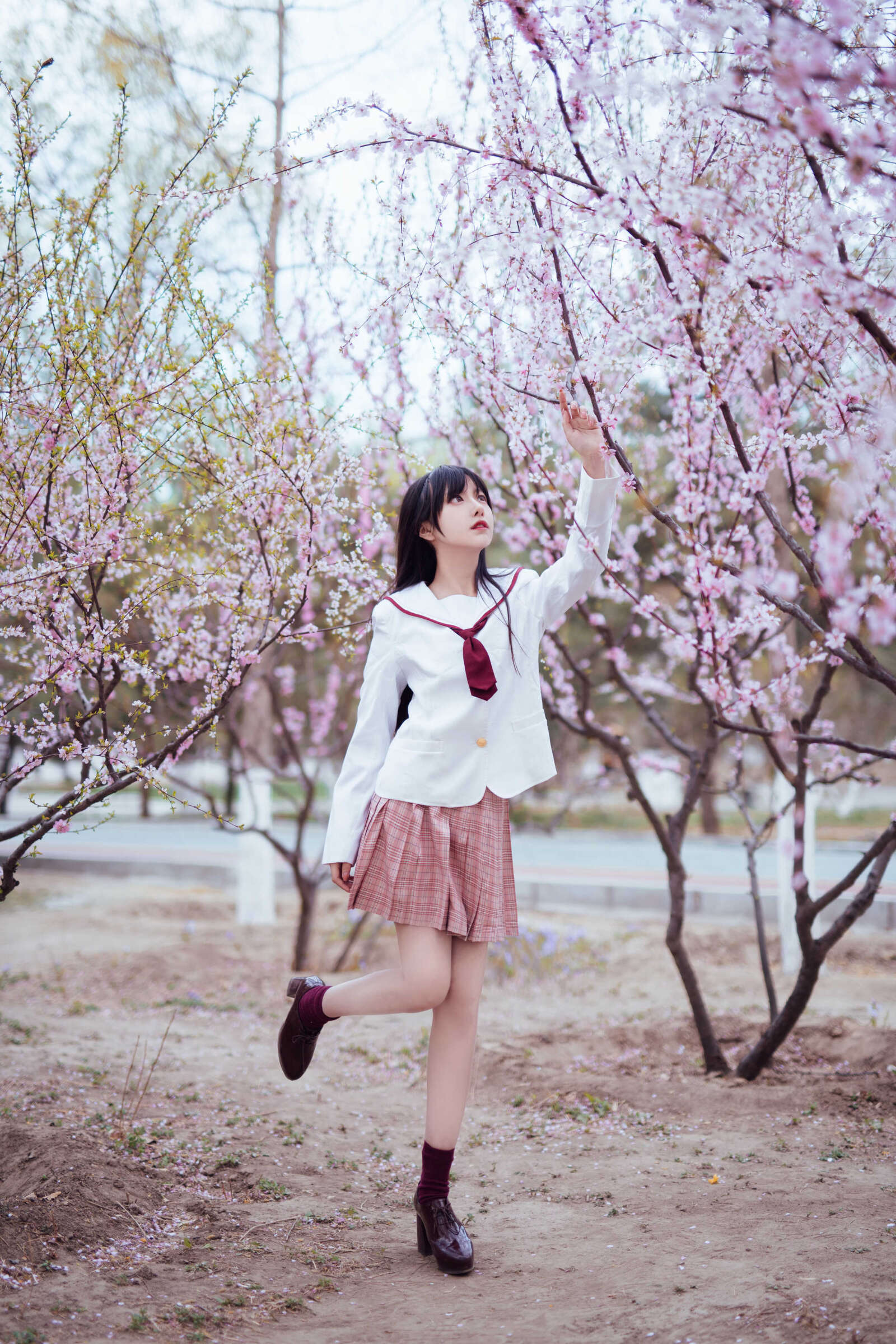 https://www.lss77.com/wp-content/uploads/2021/03/2019-03-31-154226-1600x2400.jpg
