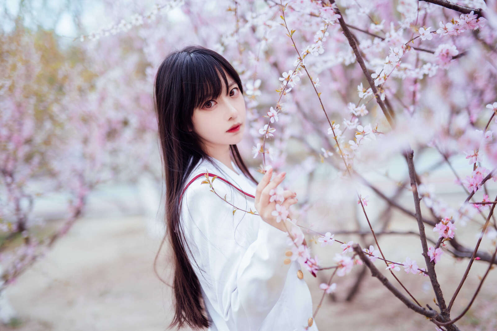 https://www.lss77.com/wp-content/uploads/2021/03/2019-03-31-154312-1600x1067.jpg