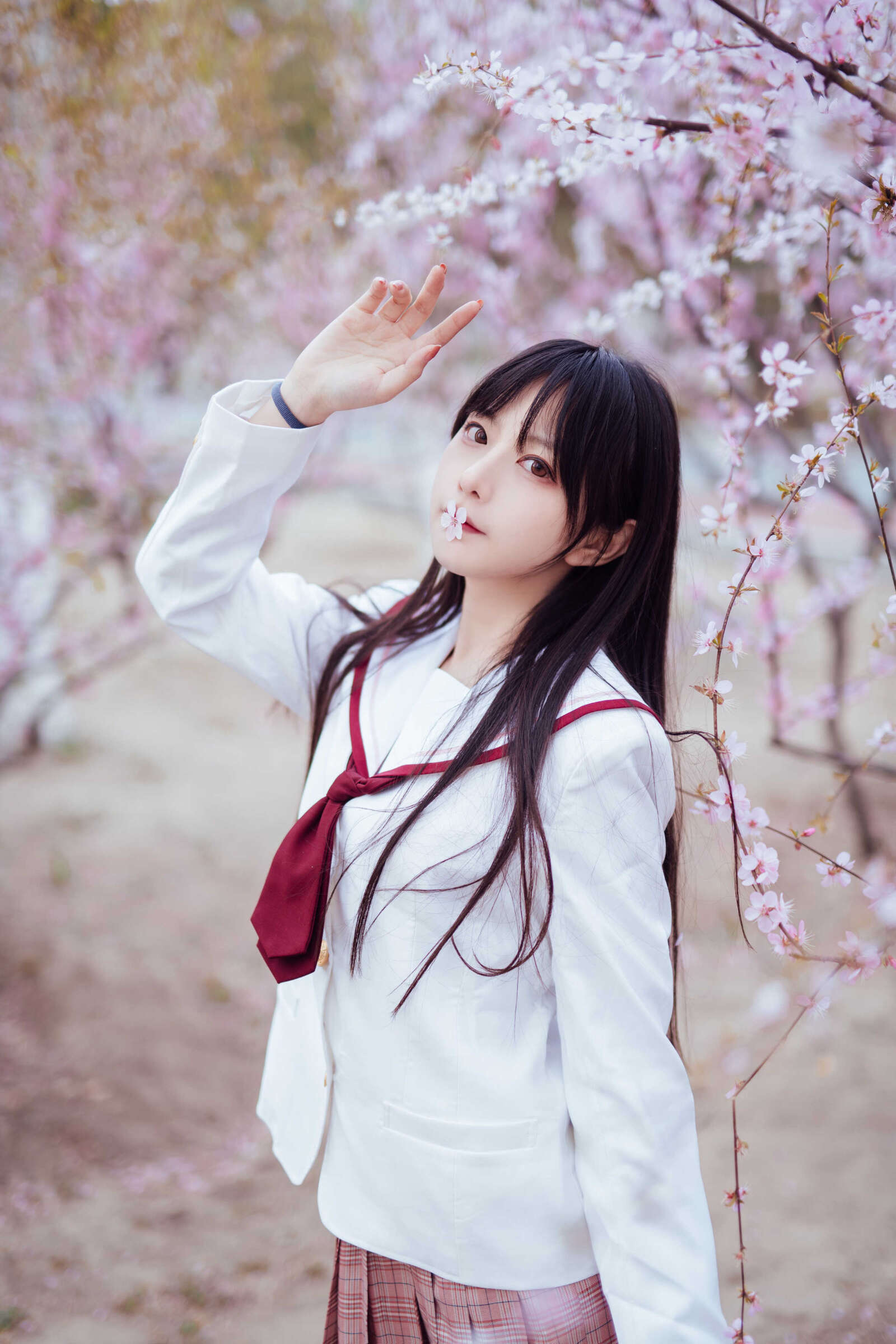 https://www.lss77.com/wp-content/uploads/2021/03/2019-03-31-154547-1600x2400.jpg