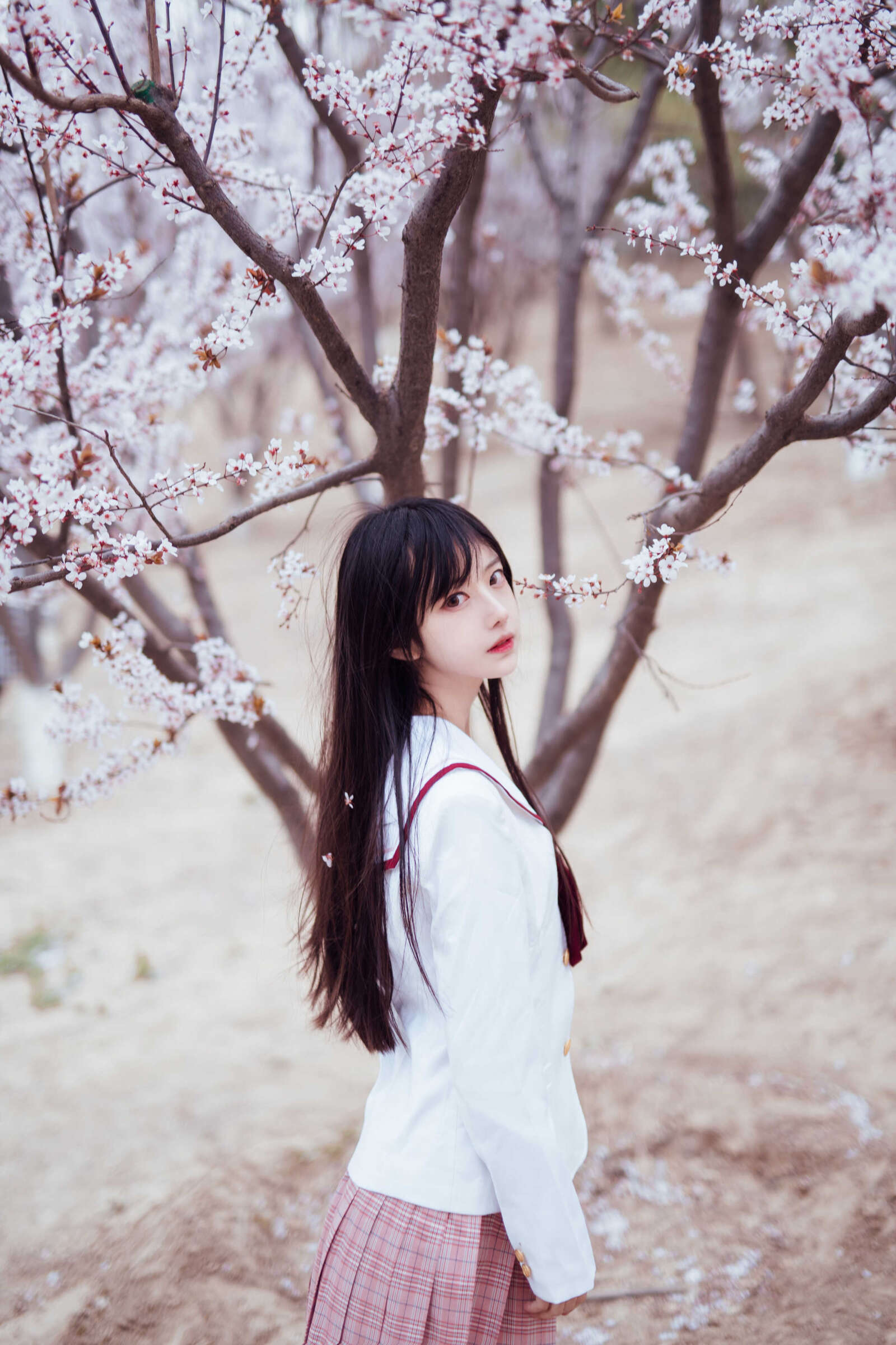 https://www.lss77.com/wp-content/uploads/2021/03/2019-03-31-160259-1600x2400.jpg