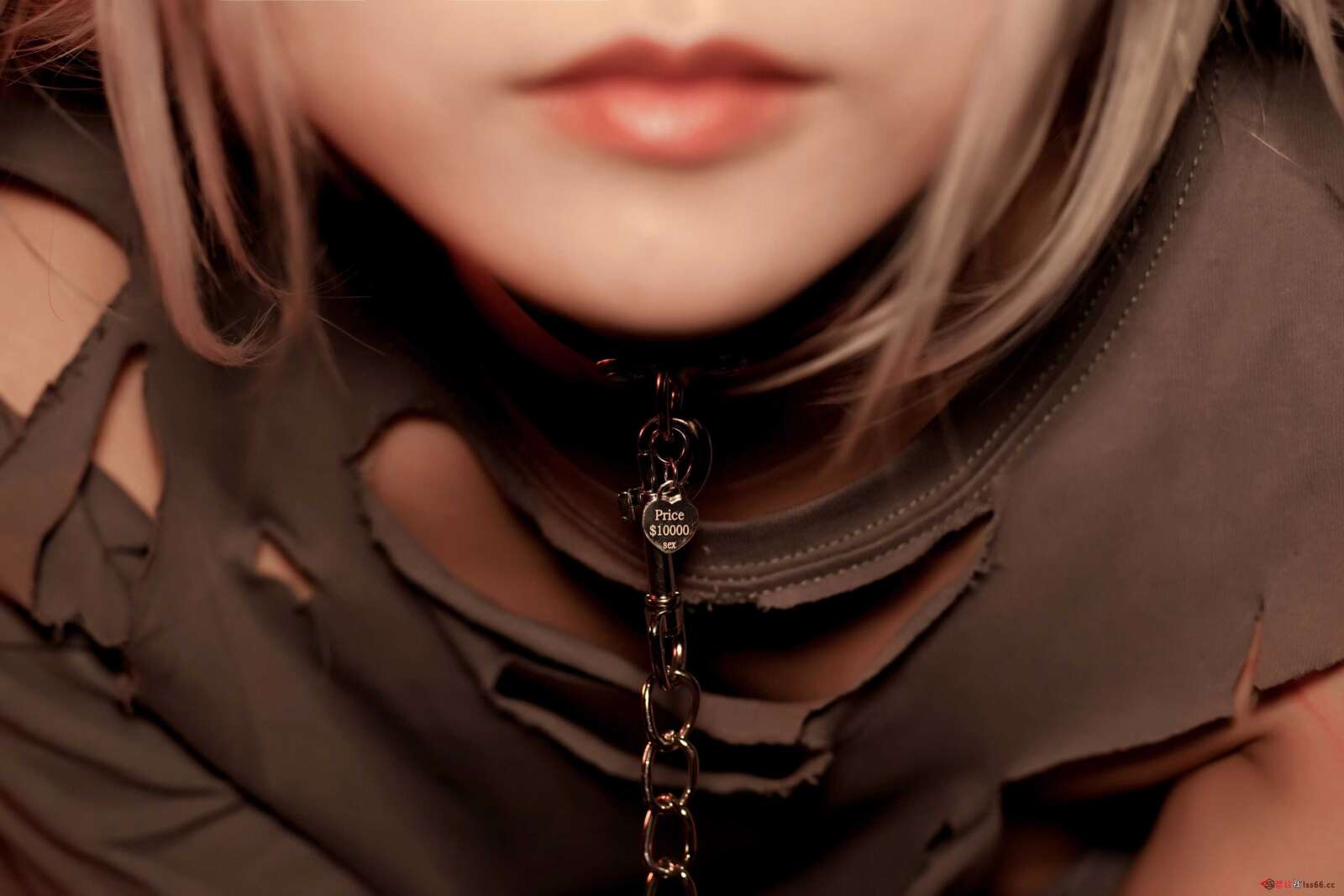 https://www.lss77.com/wp-content/uploads/2021/03/R-10-220-1600x1067.jpg
